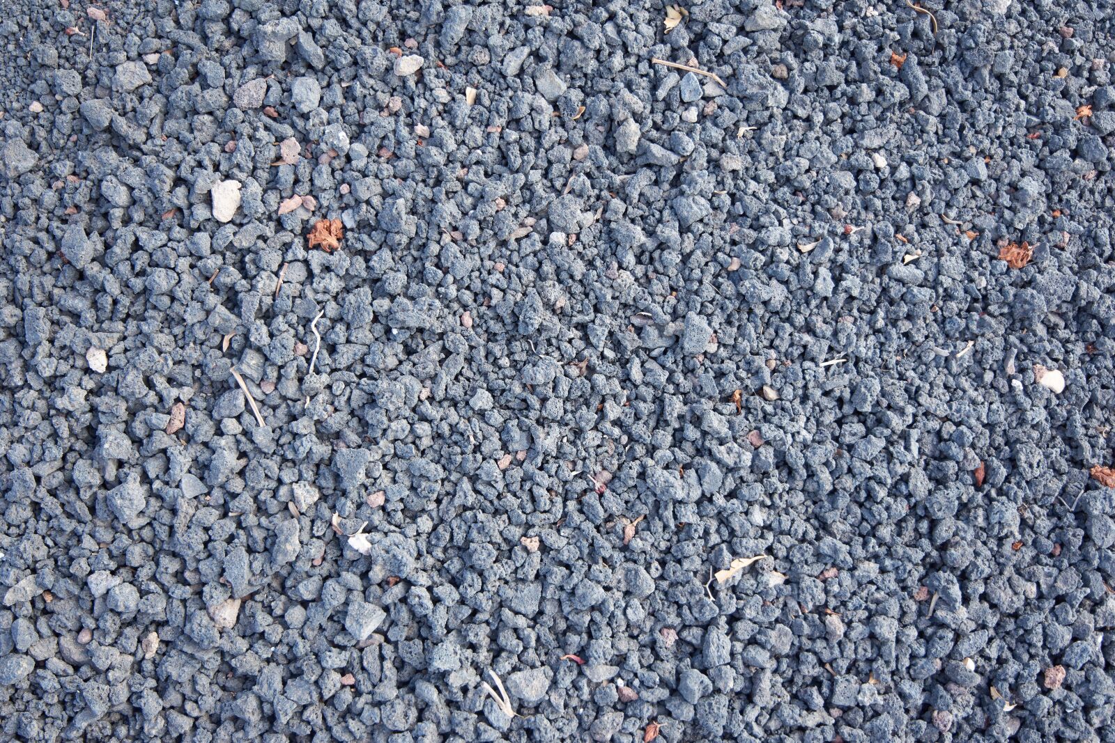 Nikon D7200 sample photo. Pebble, lava stone, grey photography