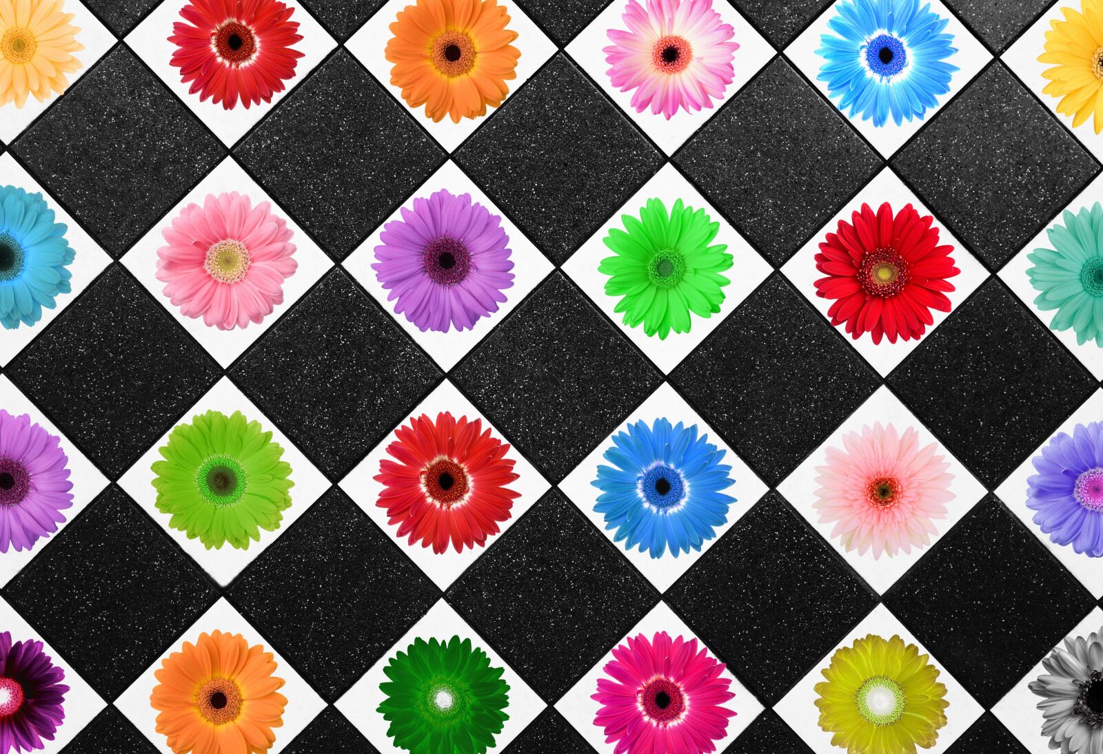 Sony Cyber-shot DSC-RX100 sample photo. Daisy, diamond, geometric photography