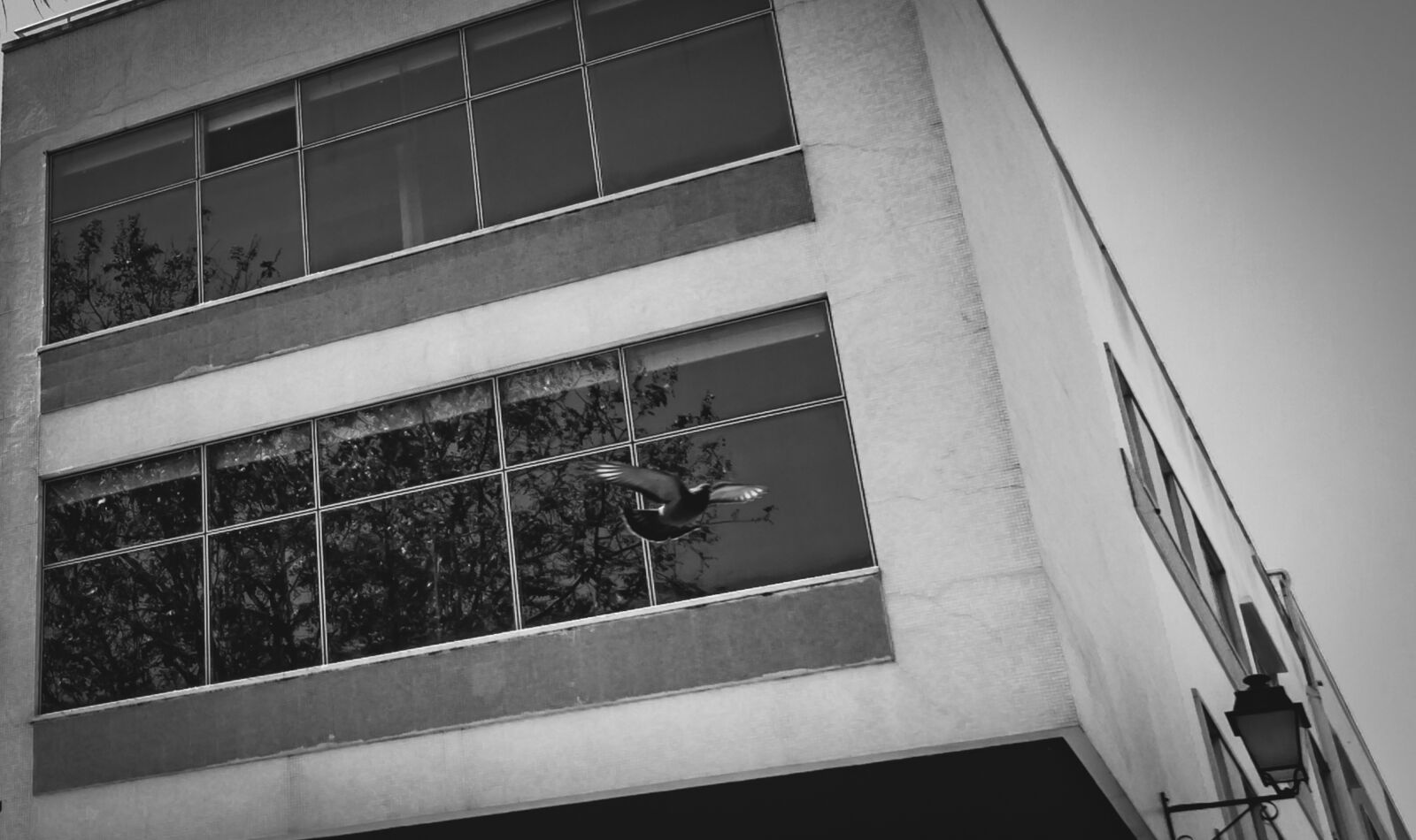 Nikon D5000 sample photo. Glass, outdoors, window photography