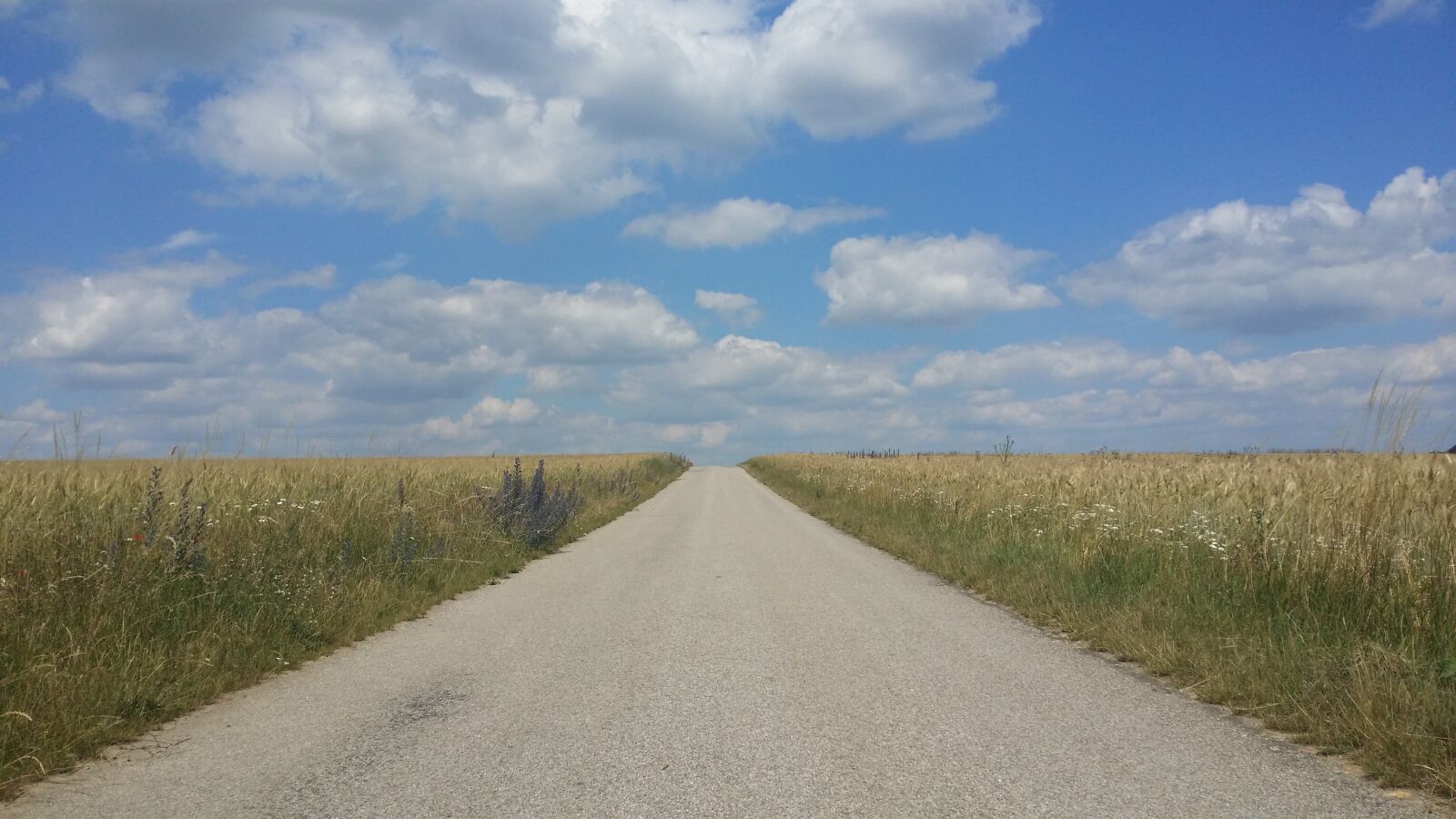 Samsung Galaxy S4 sample photo. Road to the horizon photography