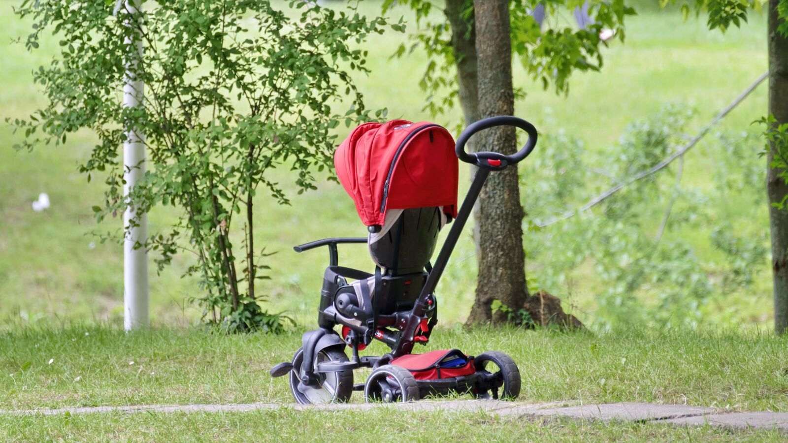 Nikon D5300 sample photo. The cart, child, wheel photography