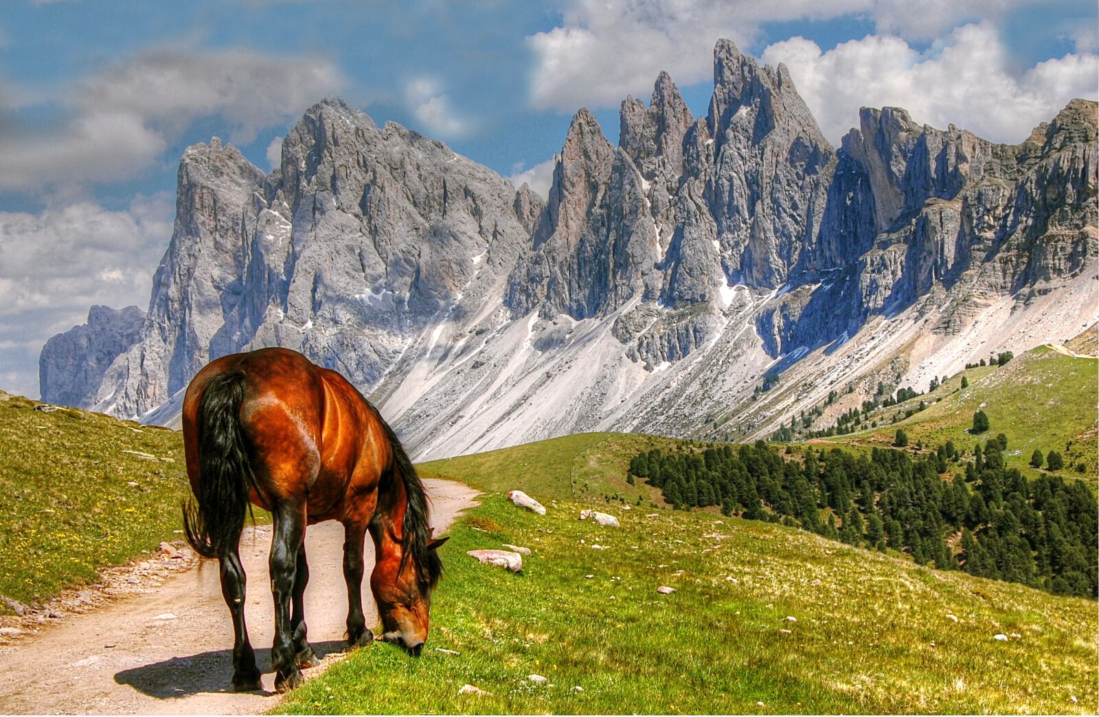 Nikon D40 sample photo. Dolomites, mountains, italy photography