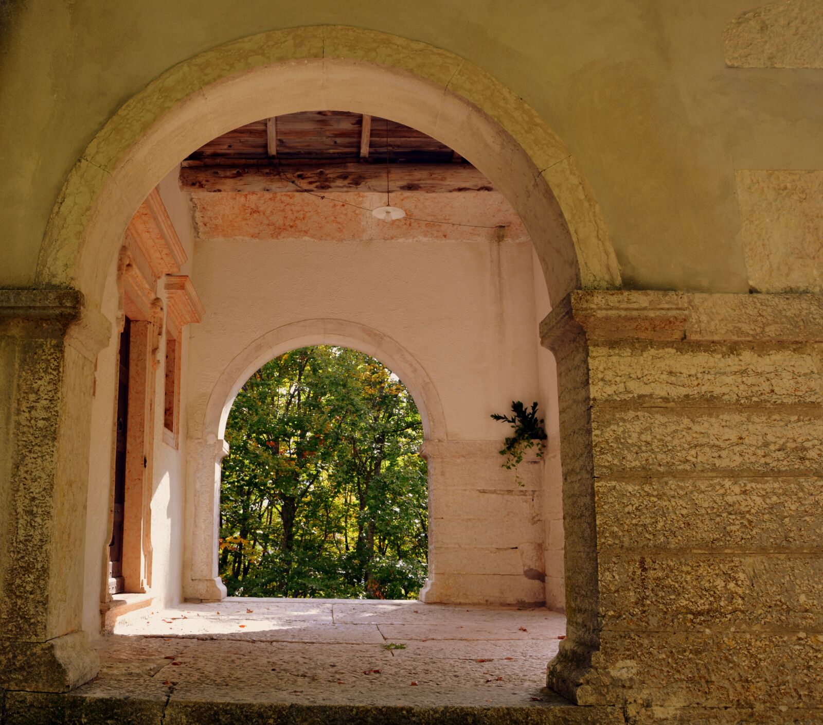 Nikon D7100 sample photo. Door, arc, trees photography