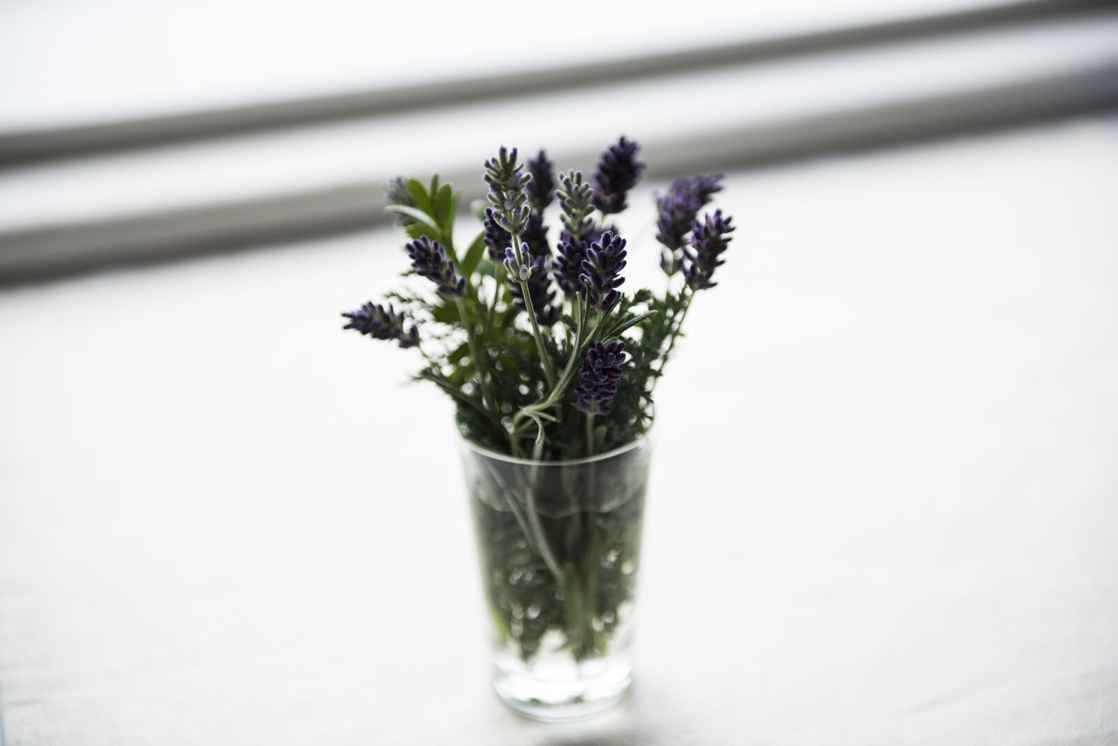 Nikon D750 sample photo. Bloom, blossom, decoration photography