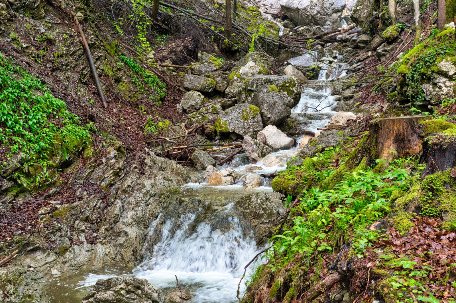 Nikon D7500 sample photo. Bach, torrent, nature photography