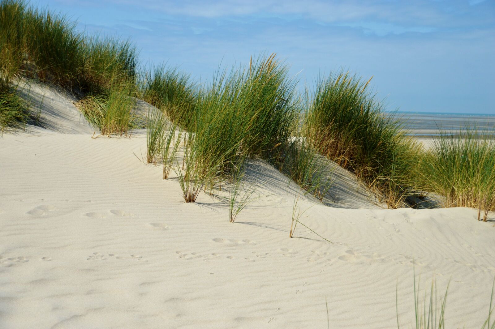 Nikon D3200 sample photo. Sea, beach, hauts de photography