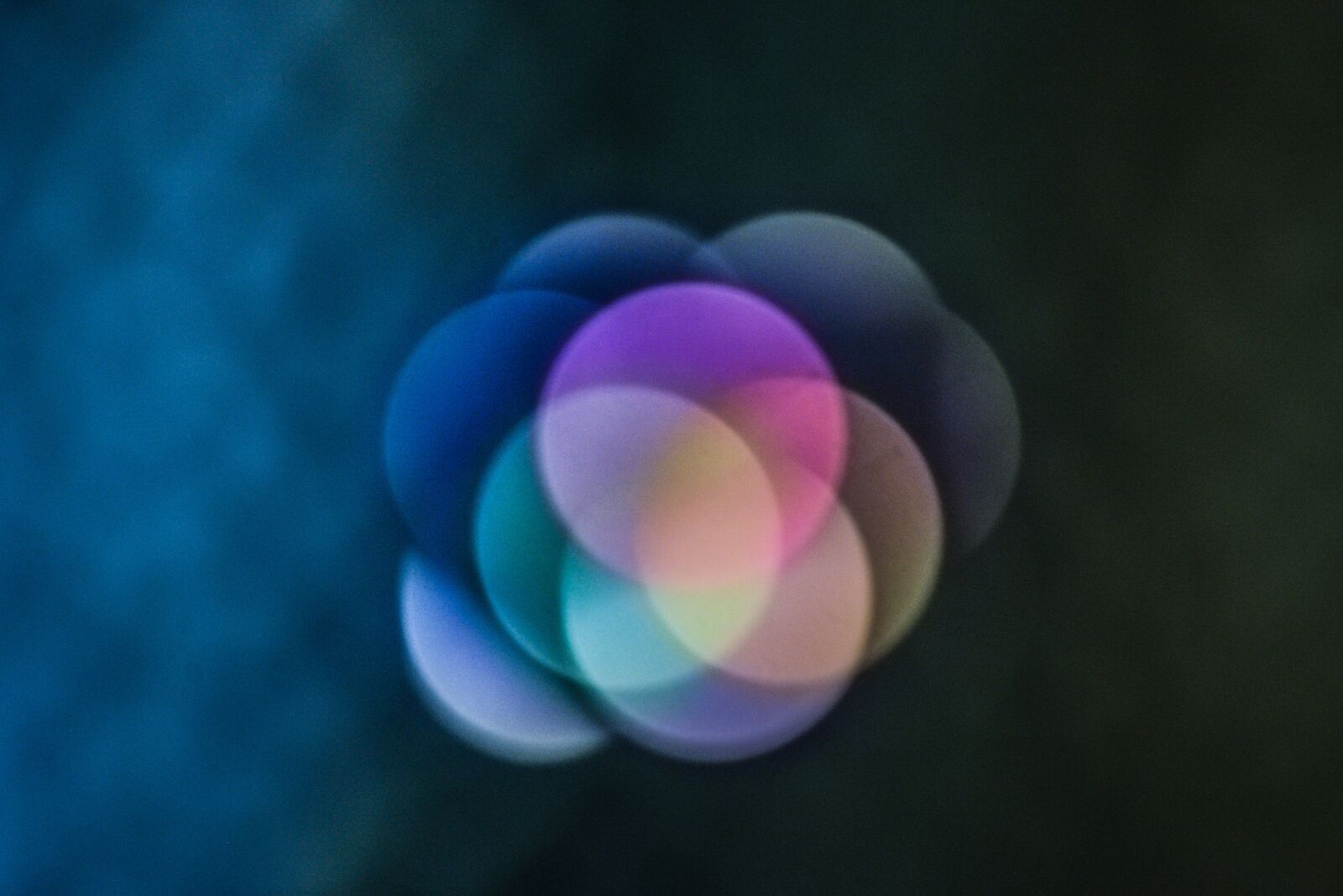 Nikon D610 sample photo. Aperture, colors, colorful photography
