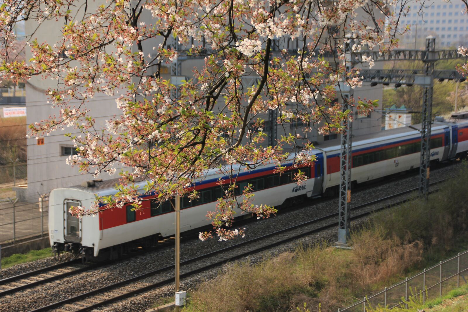 Canon EOS 600D (Rebel EOS T3i / EOS Kiss X5) sample photo. Korea, railway, transportation photography