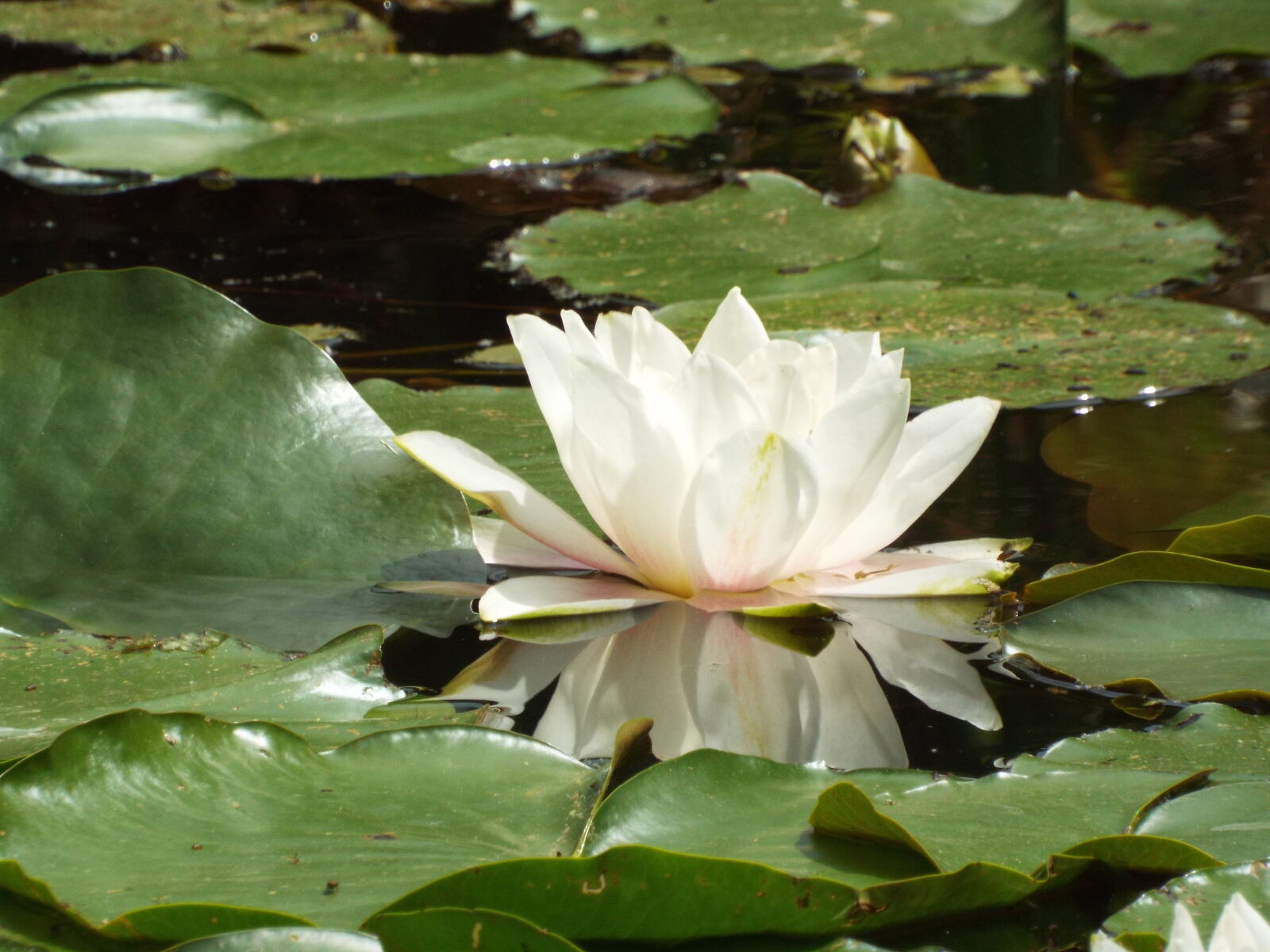 Fujifilm FinePix S8200 sample photo