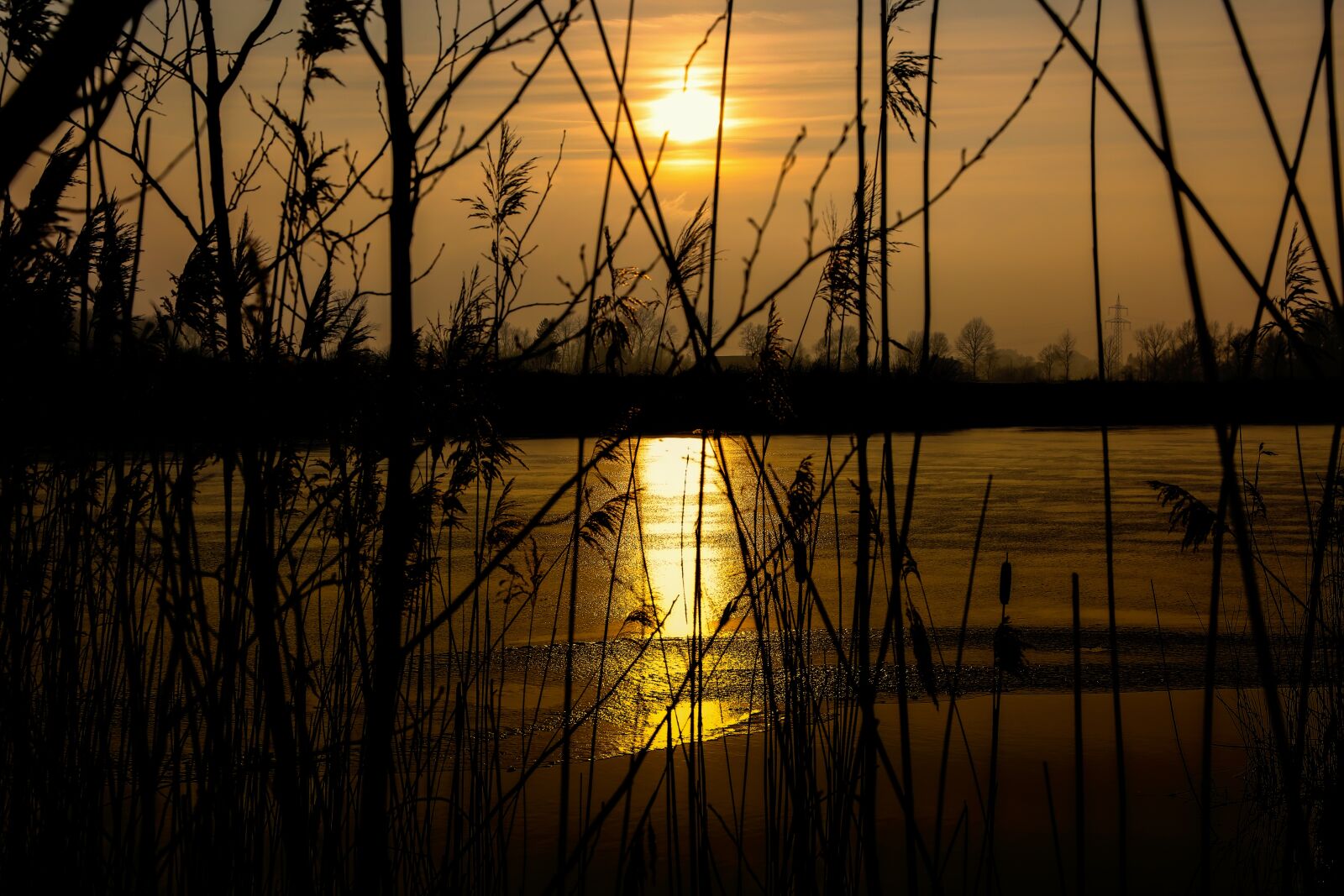 Canon EF 24-105mm F4L IS USM sample photo. Evening, sunset, sun photography