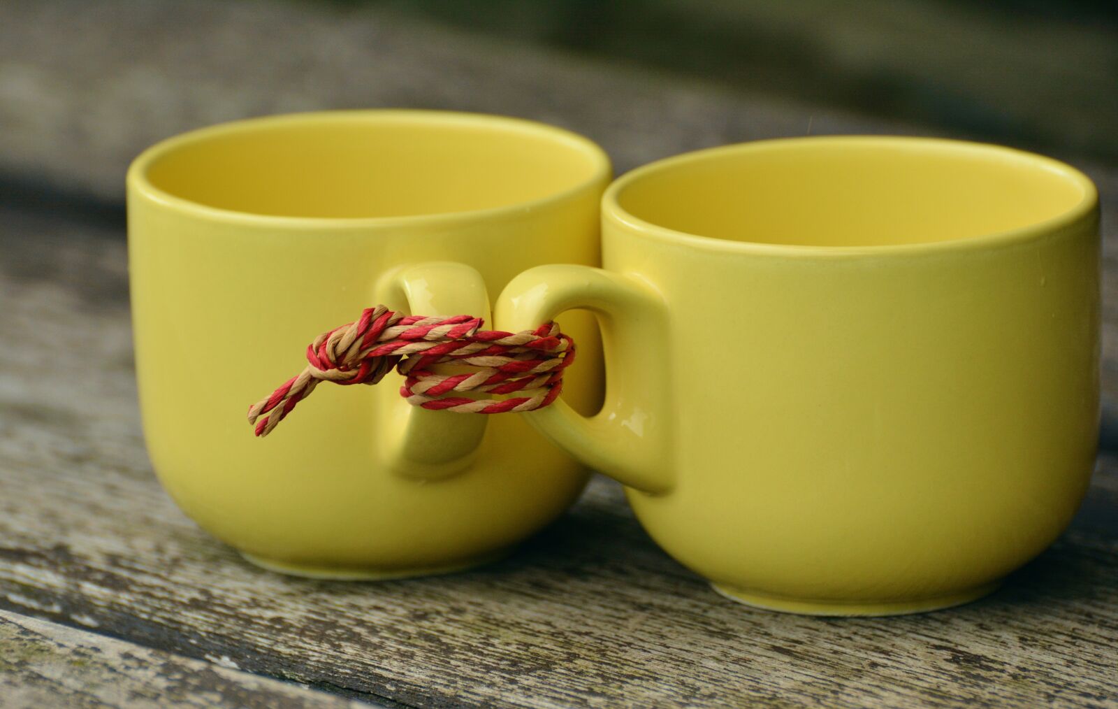 Nikon D5200 sample photo. T, for two, together photography
