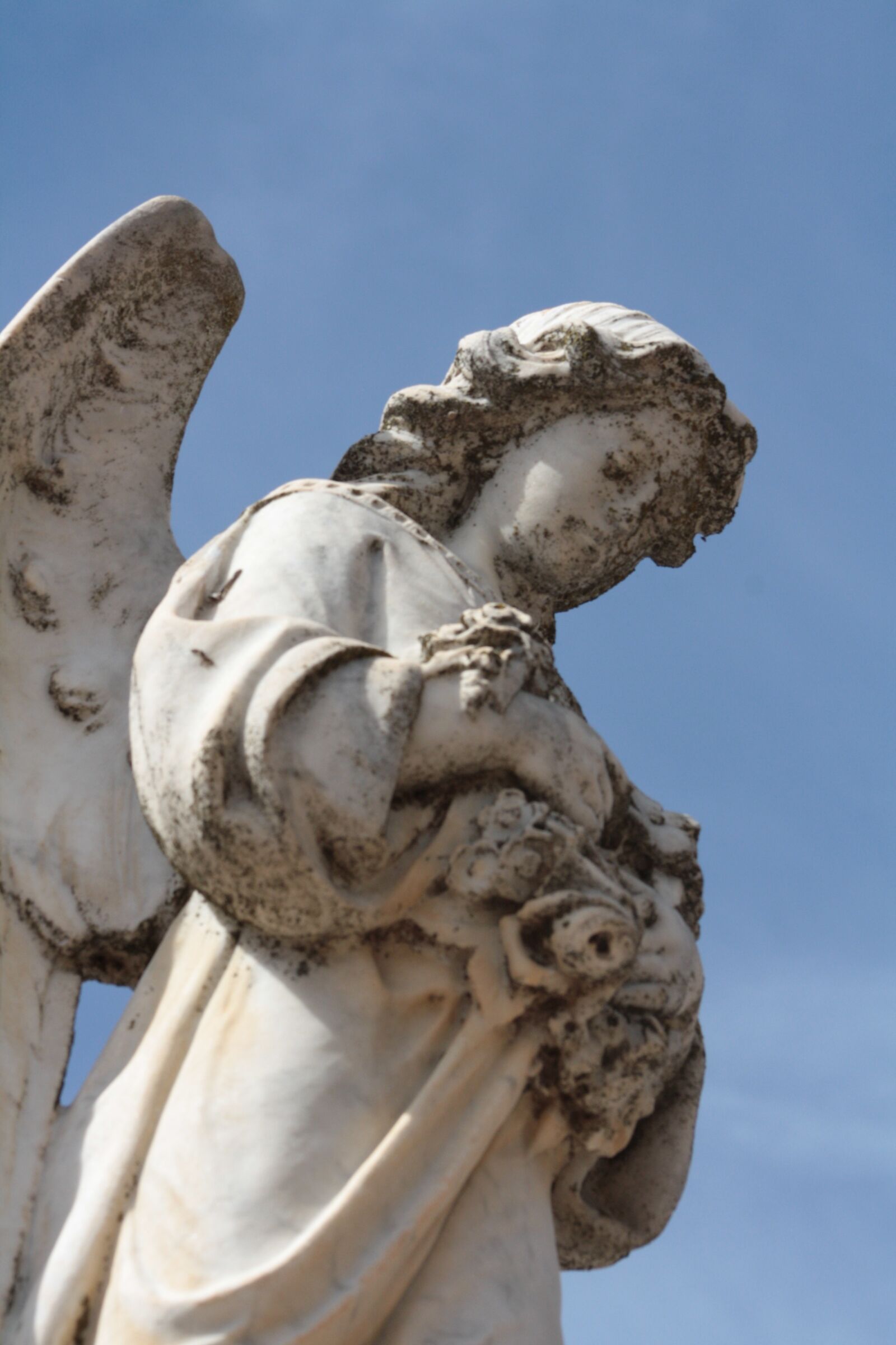 Canon EOS 1000D (EOS Digital Rebel XS / EOS Kiss F) sample photo. Angel, death, grave photography