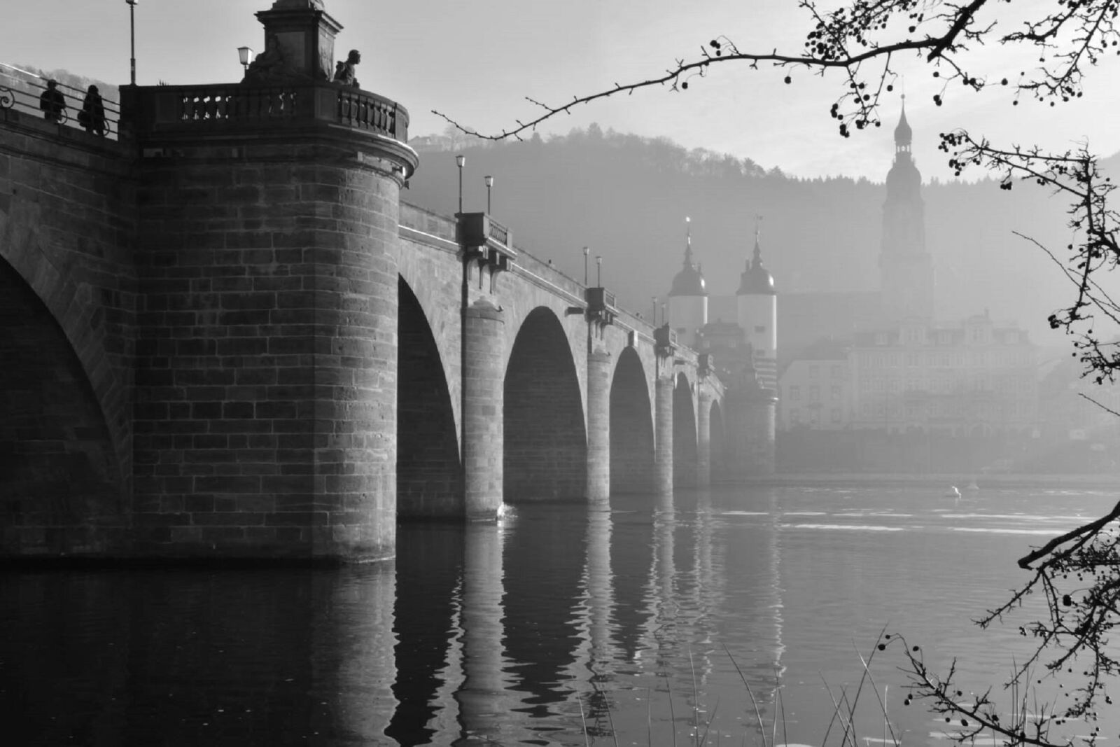 Nikon D5500 sample photo. Scenic, cityscape, bridge photography