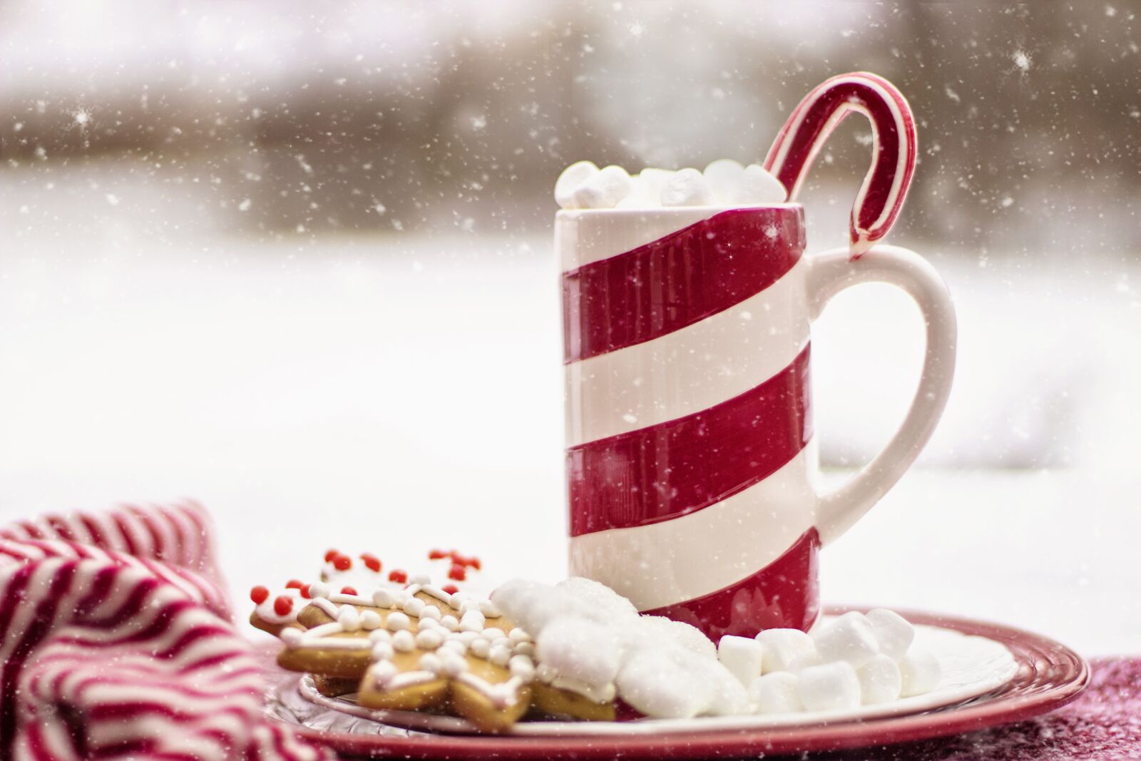 Canon EF 50mm F1.4 USM sample photo. Cocoa, hot chocolate, candy photography