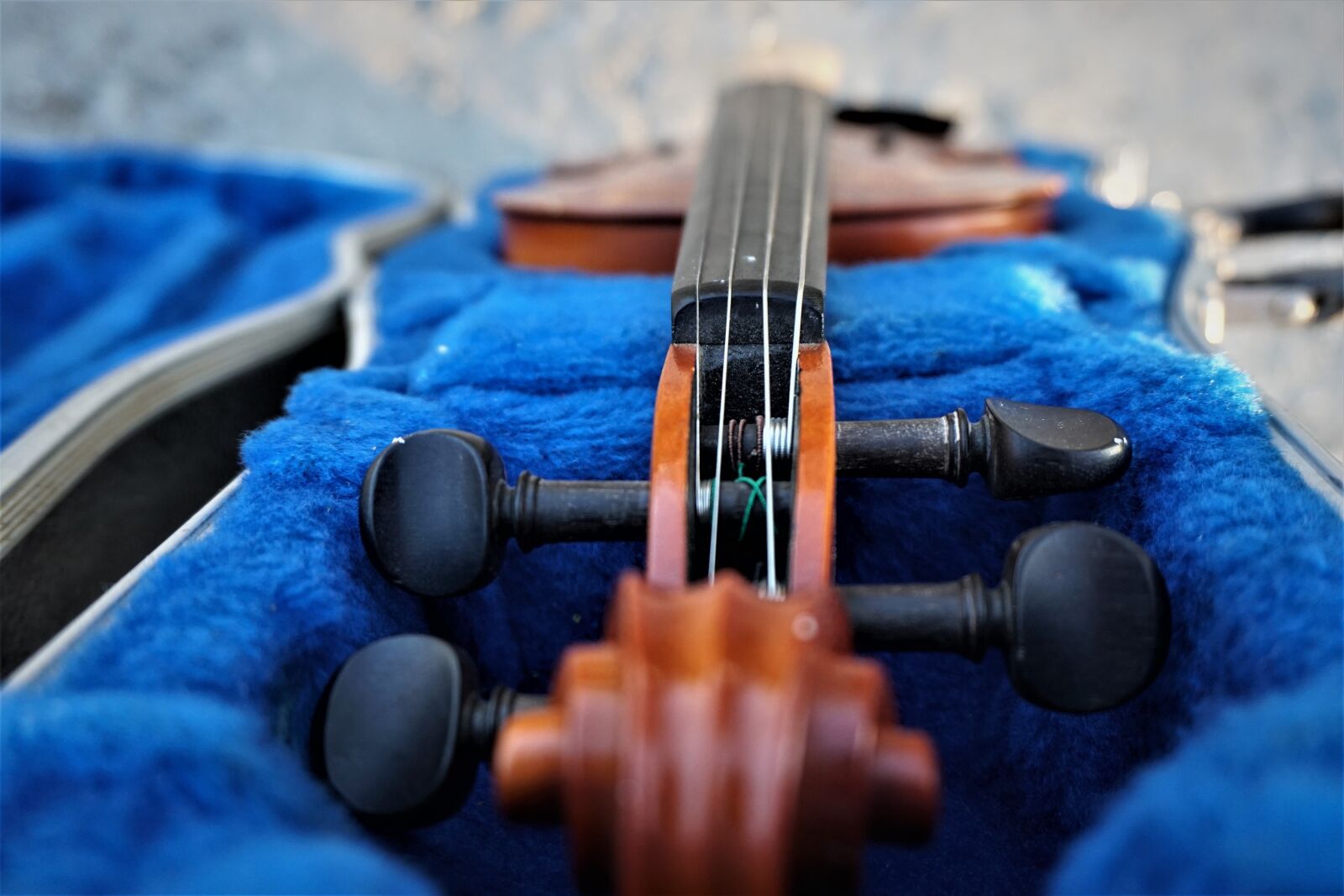 Sony a6300 sample photo. Violin, instrument, music photography