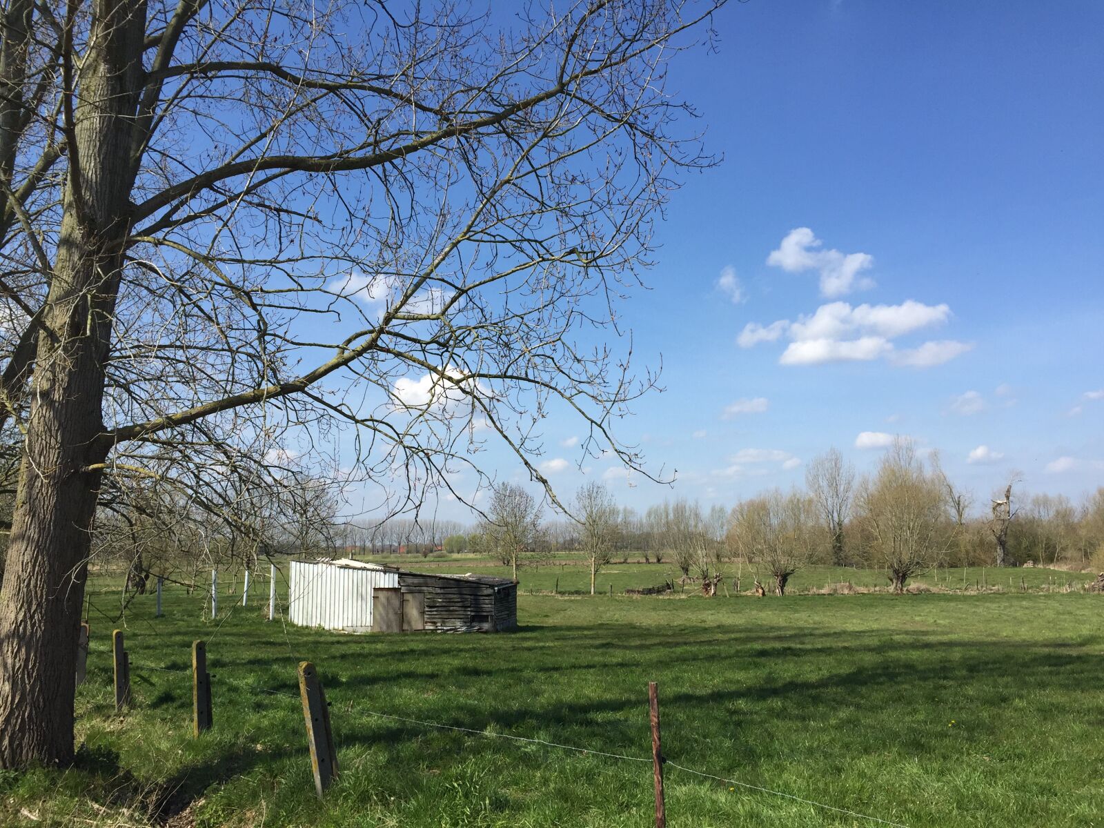 iPhone 6 back camera 4.15mm f/2.2 sample photo. België, landscape, nature photography
