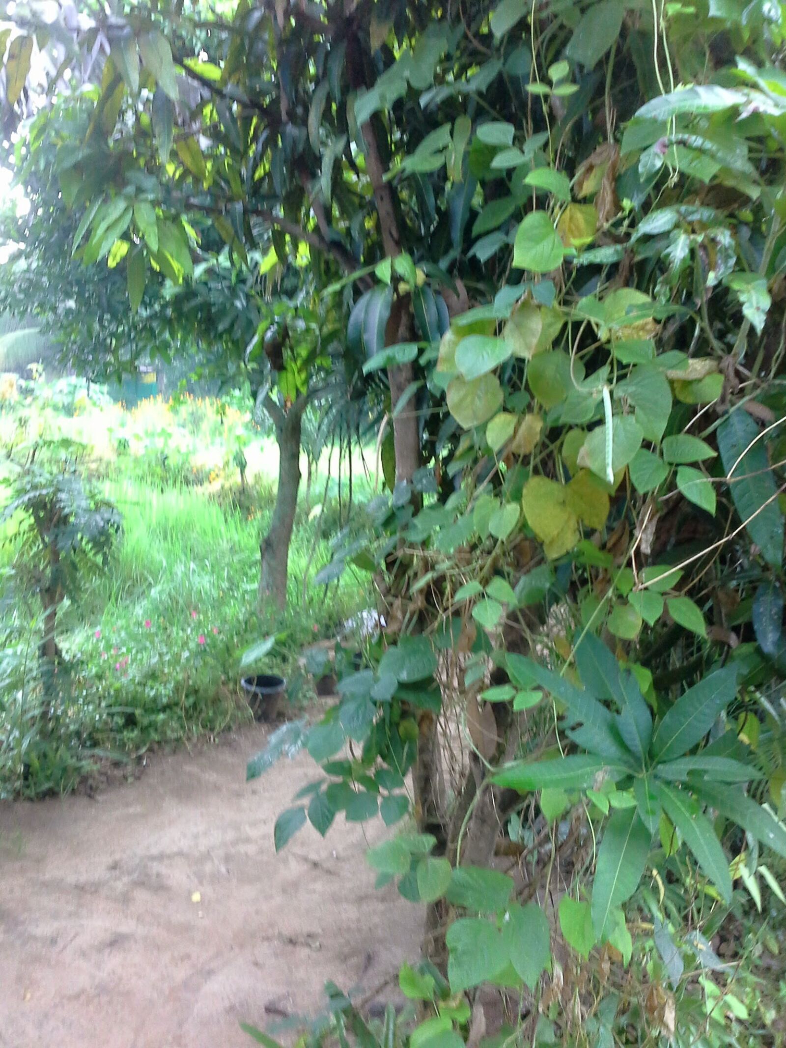 Samsung Galaxy Note 10.1 sample photo