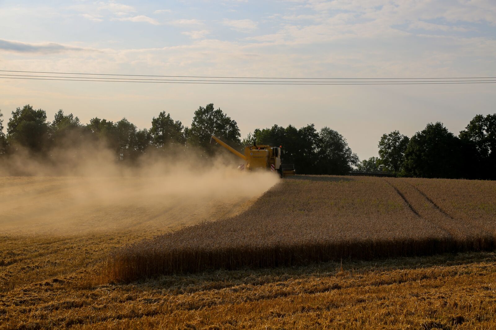 Canon EF 24-105mm F4L IS USM sample photo. Harvest, field, agriculture photography