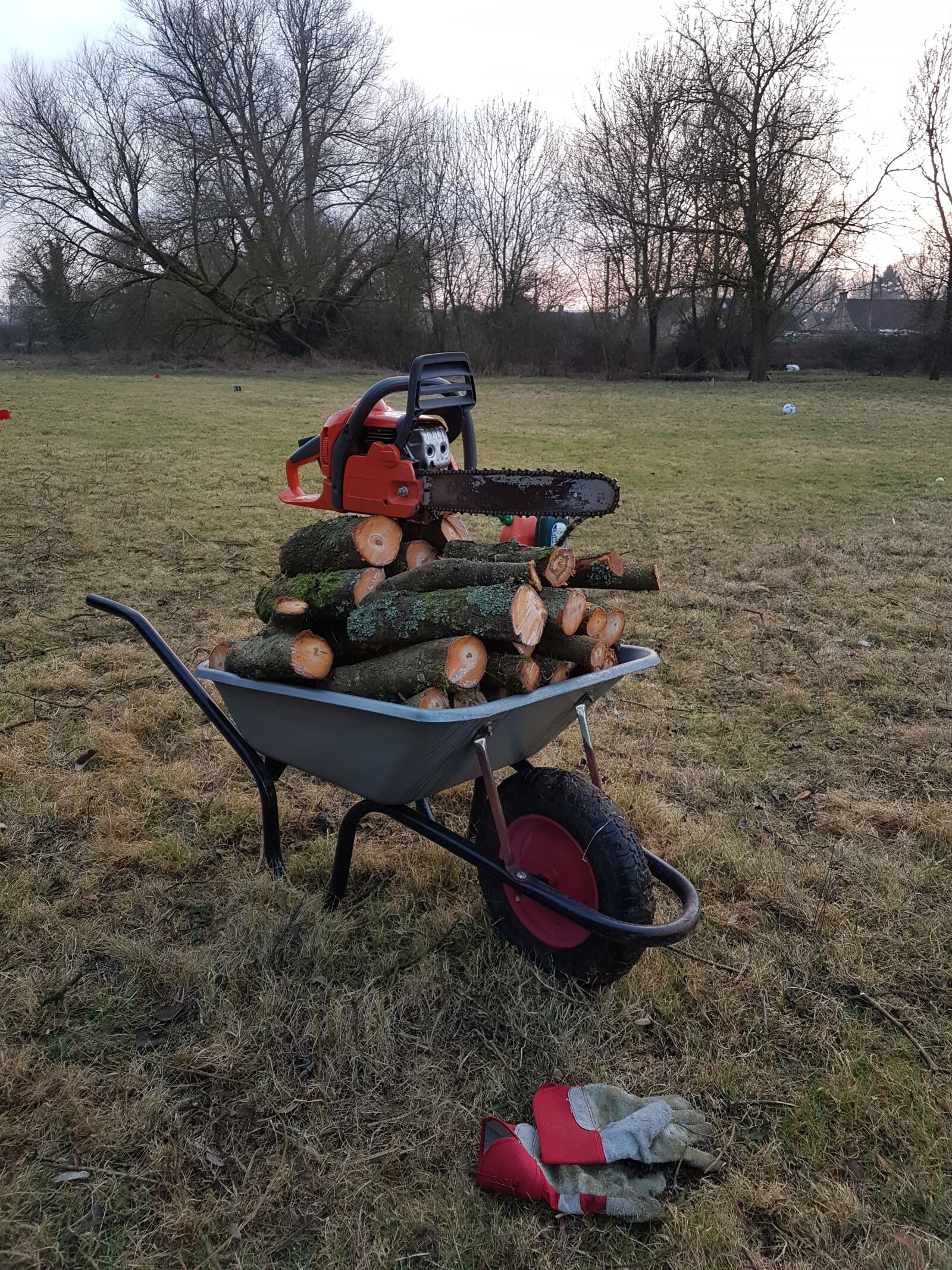 Samsung Galaxy S7 sample photo. Chainsaw, firewood, autumn photography
