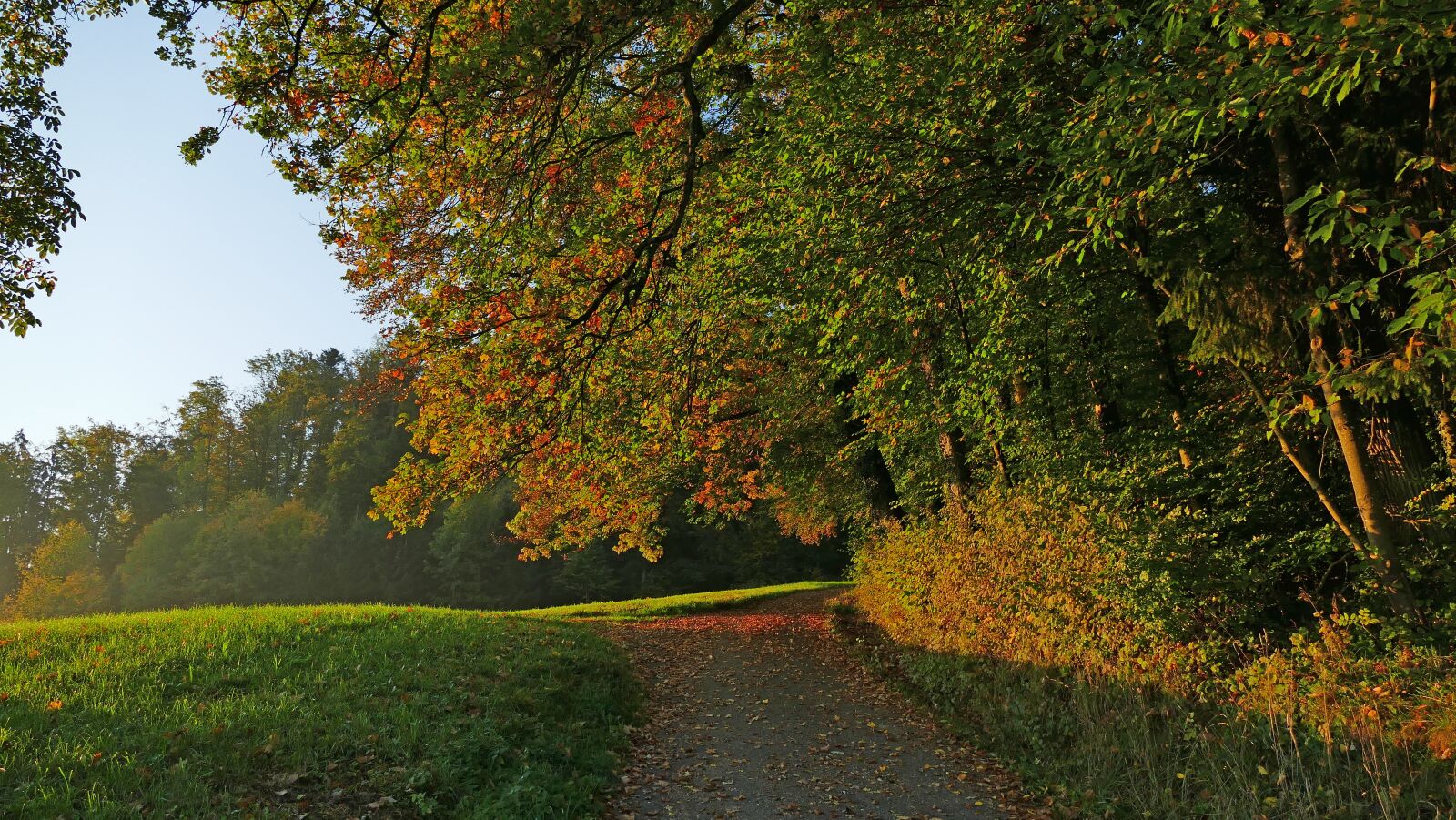 Panasonic Lumix DMC-FZ1000 sample photo. Landscape, autumn, nature photography