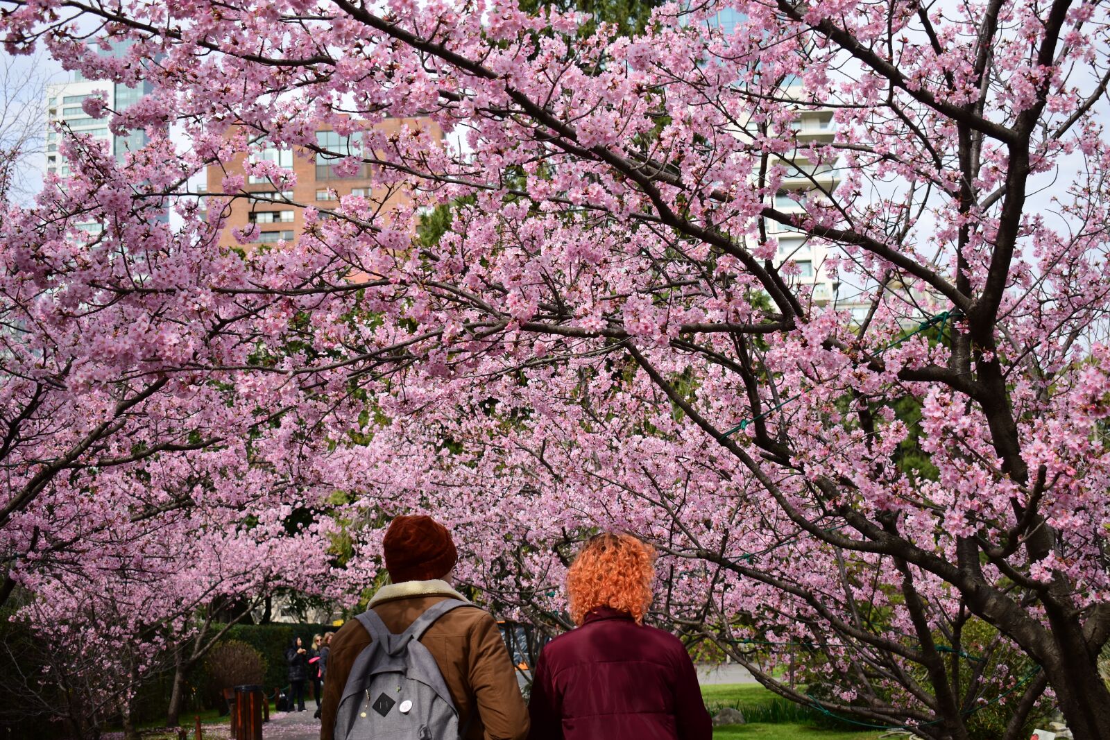Nikon D3400 sample photo. Jardin, japones, garden photography