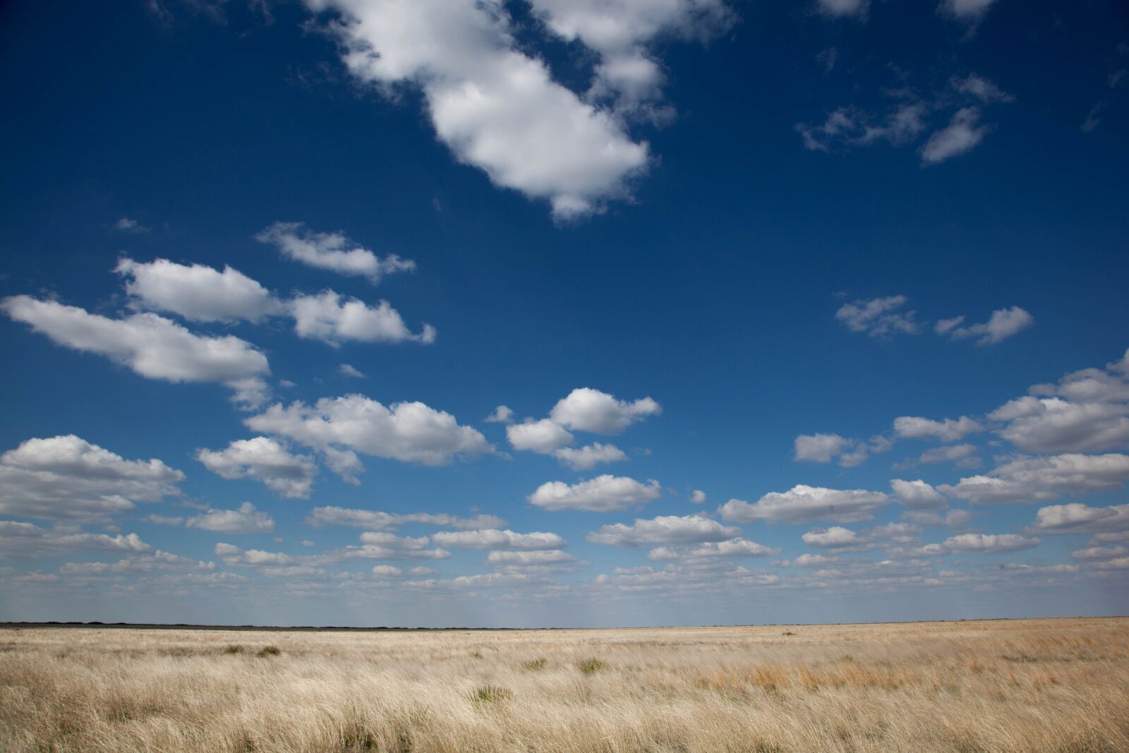 Canon EOS 5D Mark II sample photo. Desert, sky, weather, nature photography