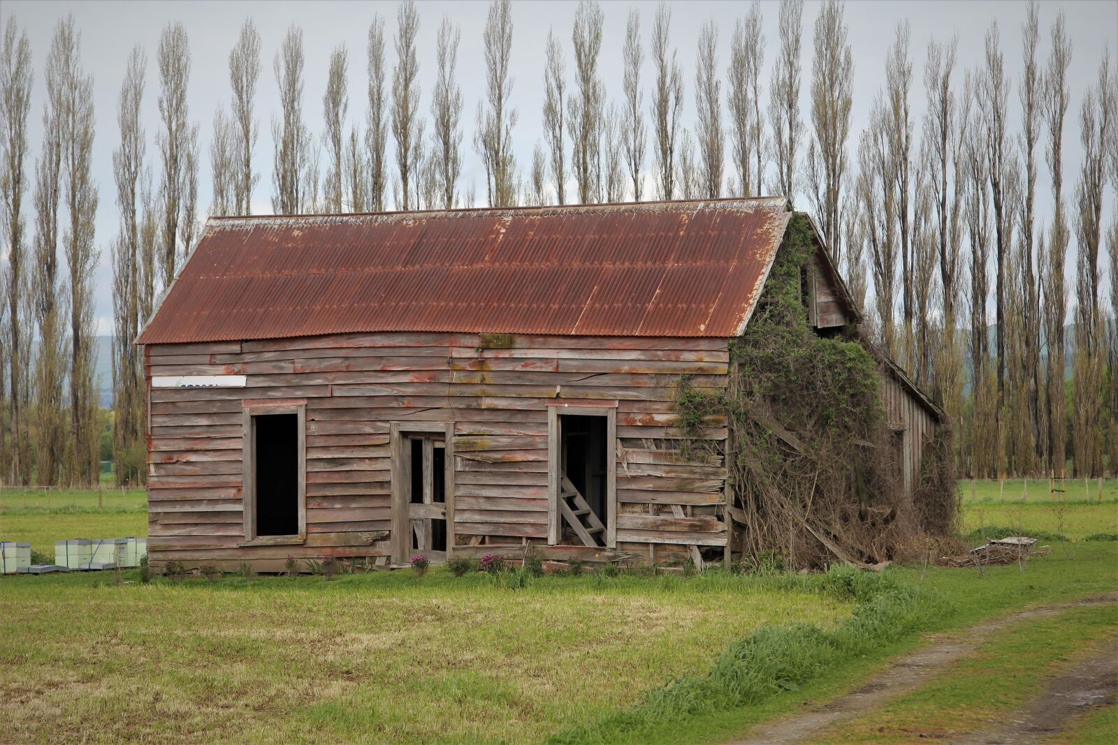 Canon EOS 60D sample photo. Shed, old, wooden photography