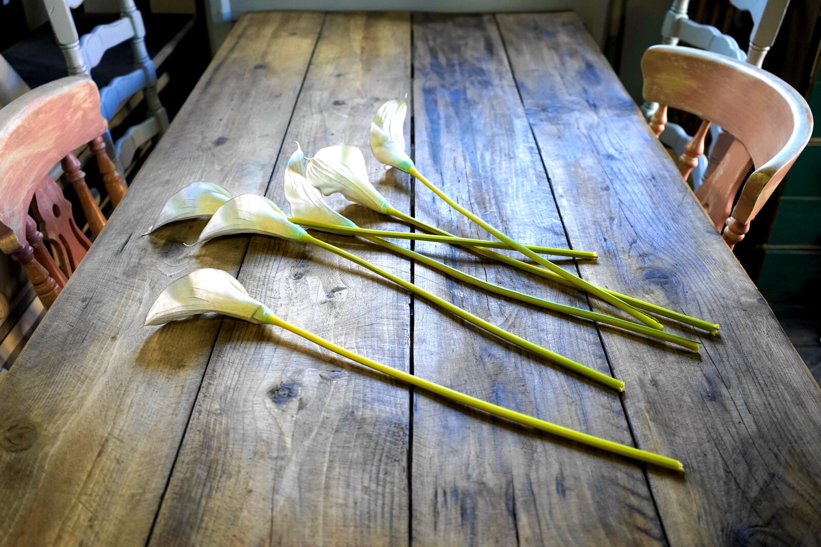 Sony a7 + Sony FE 28-70mm F3.5-5.6 OSS sample photo. Table, flowers, wood photography