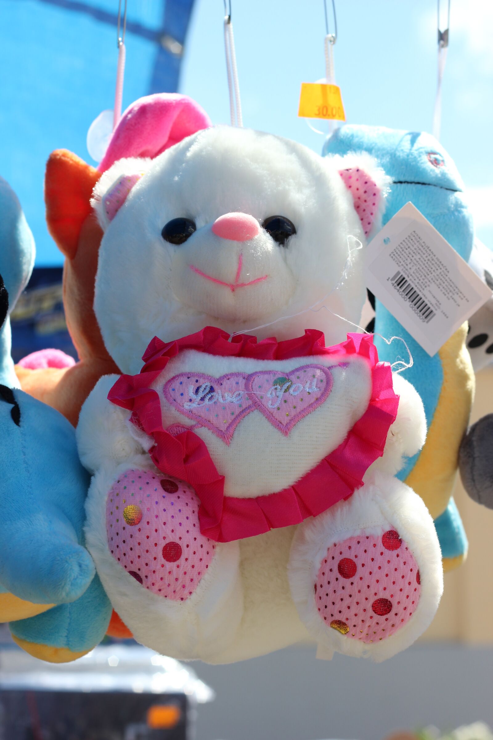 Canon EOS 550D (EOS Rebel T2i / EOS Kiss X4) sample photo. Teddy bear, market, toy photography