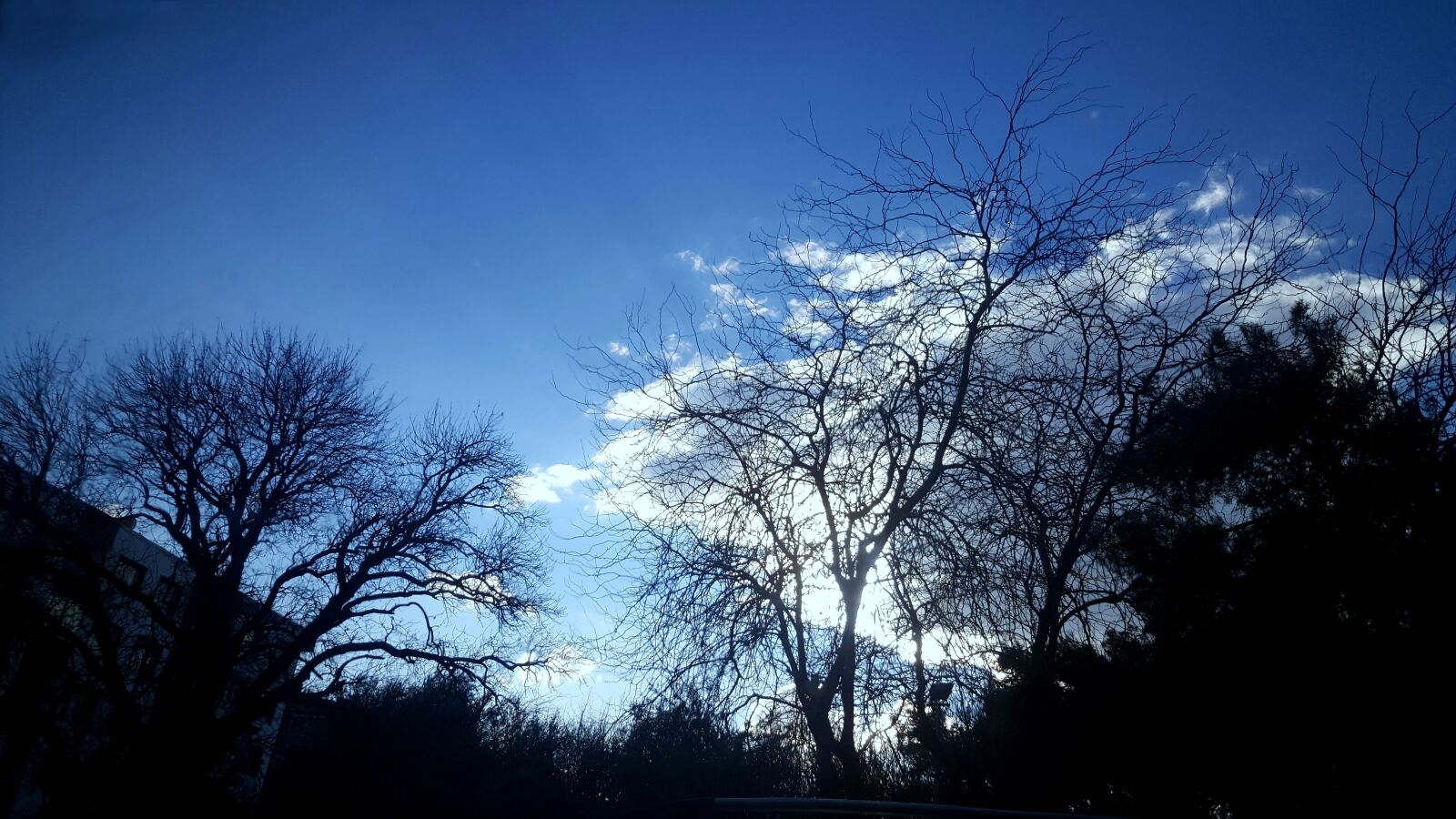 Samsung Galaxy S6 sample photo. Autumn, blue, sky photography