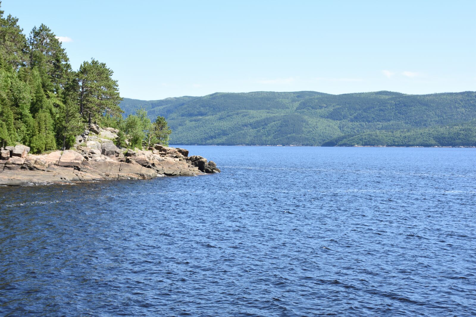 Nikon D7200 sample photo. Nature, plein-air, summer photography