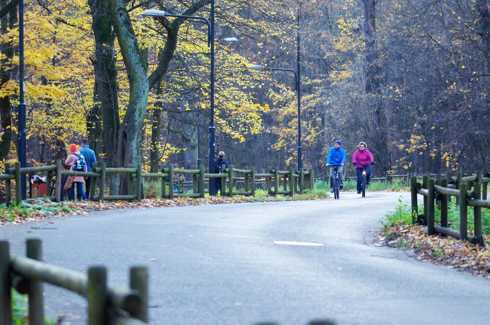 Nikon D5100 sample photo. Landscape, road, asphalt photography