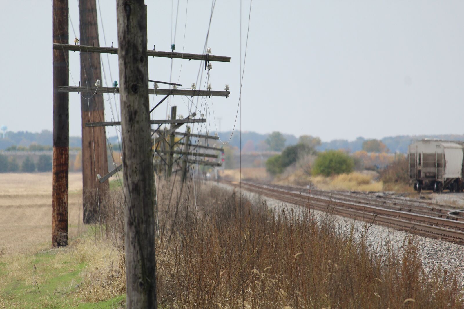 Canon EOS 1300D (EOS Rebel T6 / EOS Kiss X80) + Canon EF-S 55-250mm F4-5.6 IS STM sample photo. Rural, railroad, telephone poles photography