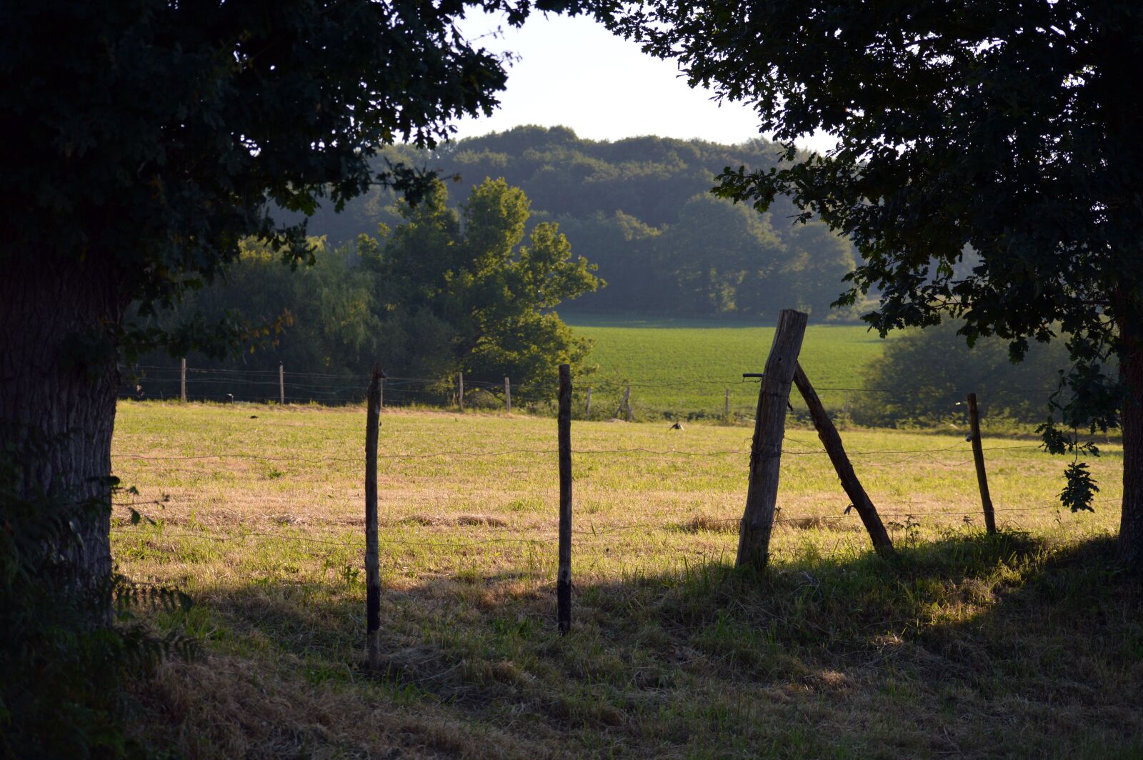 Nikon D3200 sample photo. Fields, field, nature photography