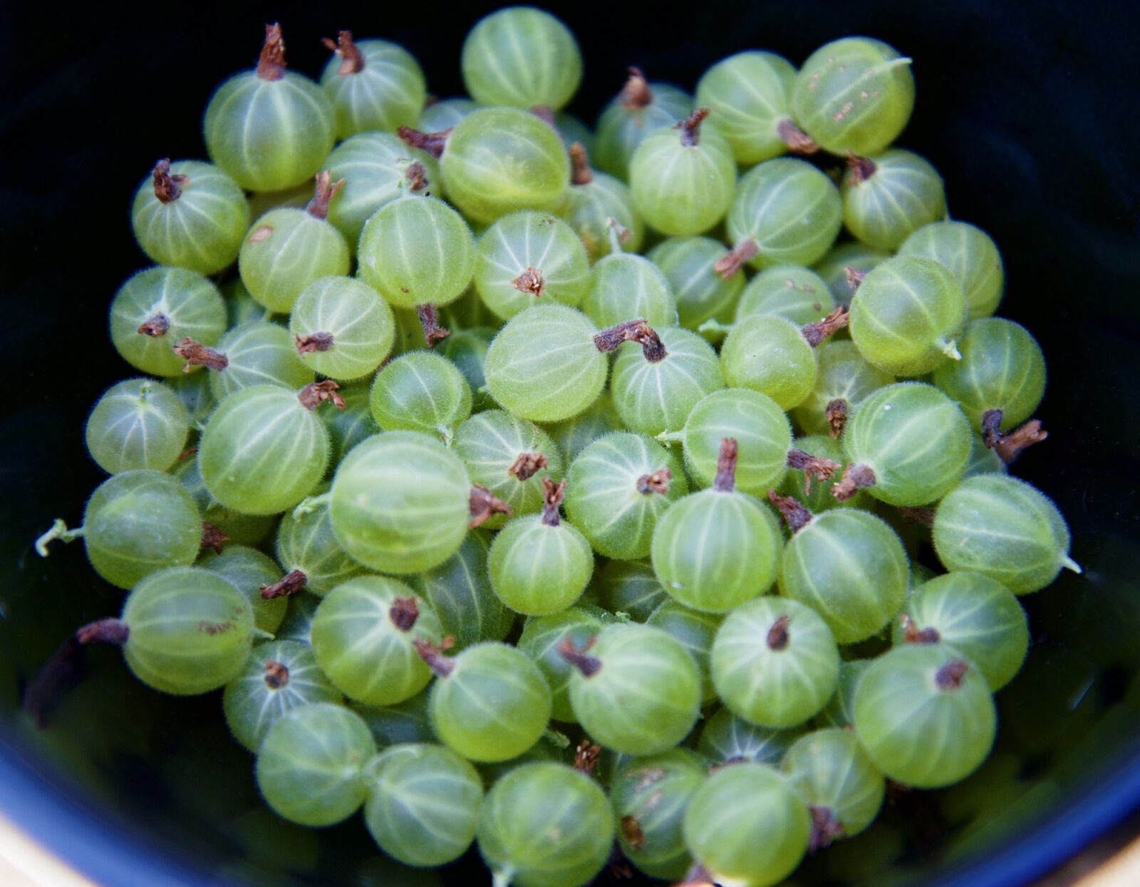 Nikon D600 sample photo. Gooseberry, ribes, berries photography