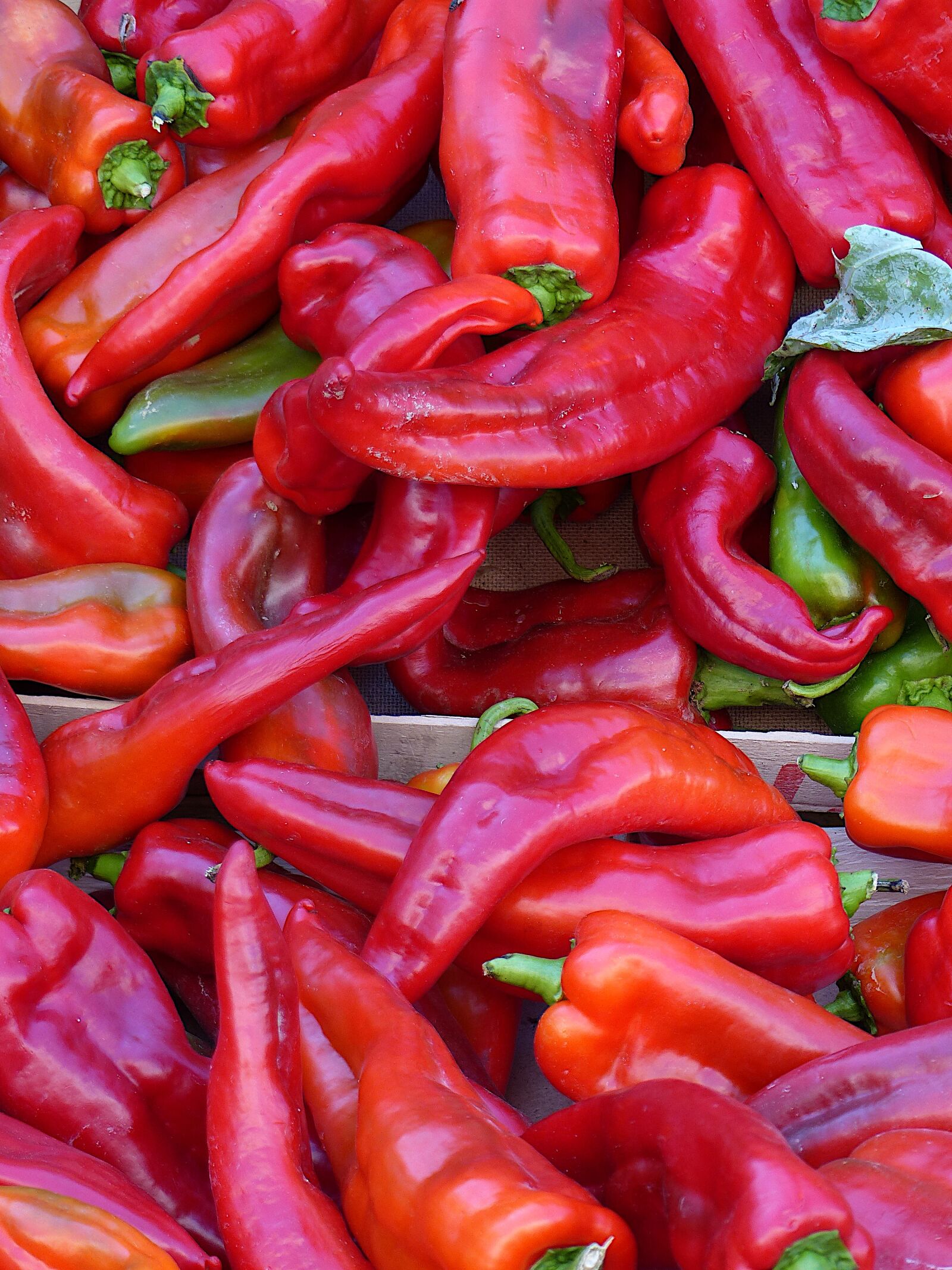 Panasonic Lumix DMC-FZ200 sample photo. Vegetables, peppers, red photography