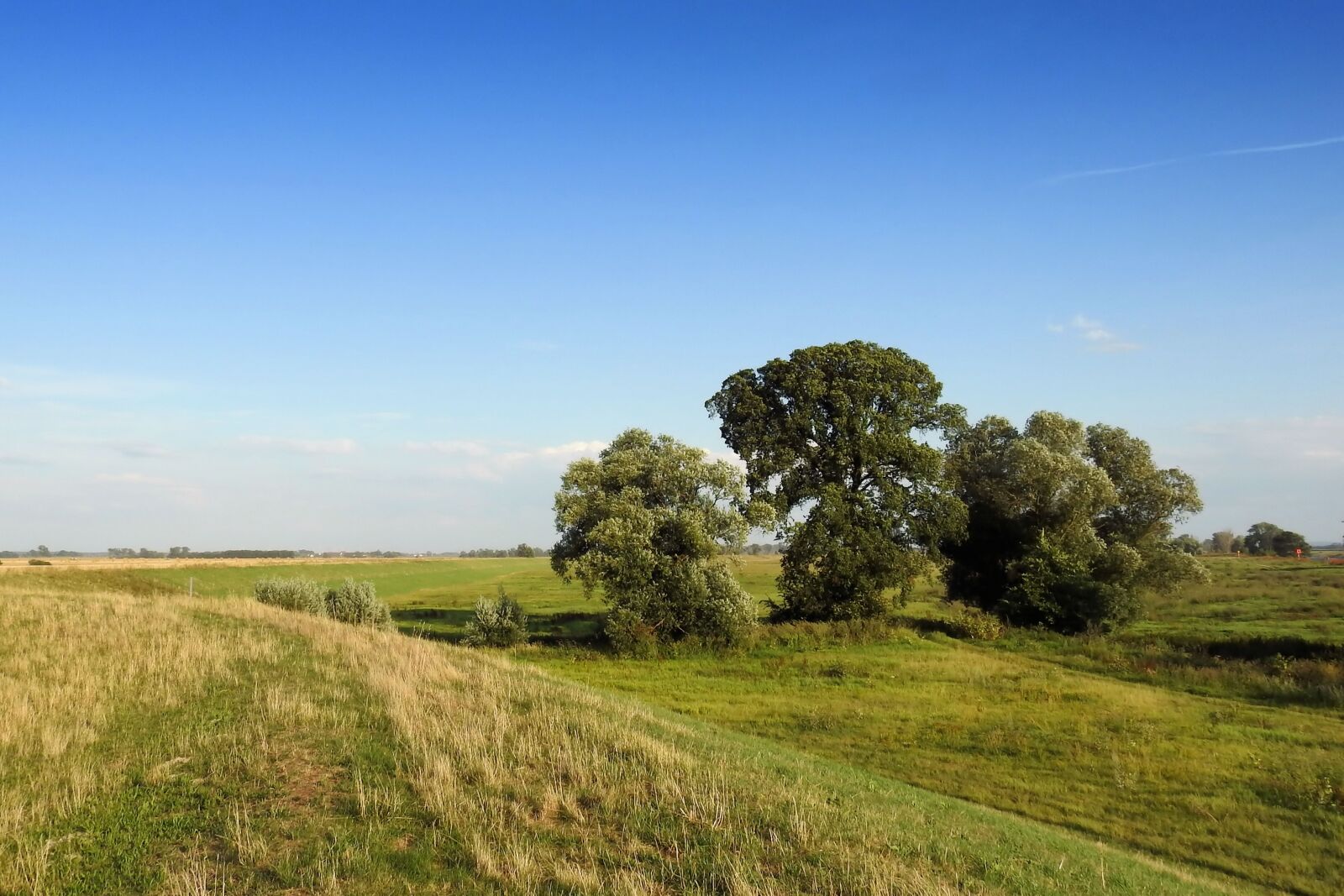 Nikon Coolpix P900 sample photo. Landscape, dike, trees photography