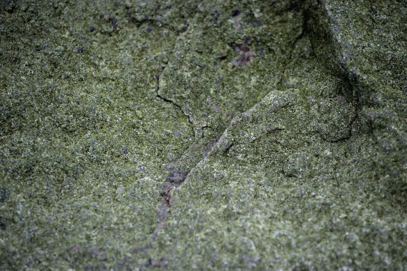 Nikon D3S sample photo. Stone, texture, natural photography
