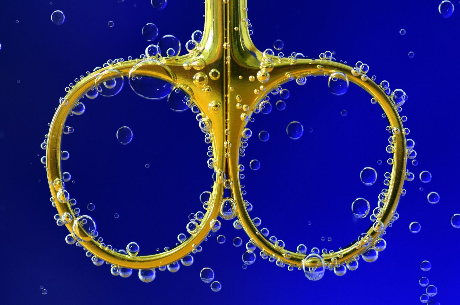 Nikon D3300 sample photo. Scissors, golden, shiny photography