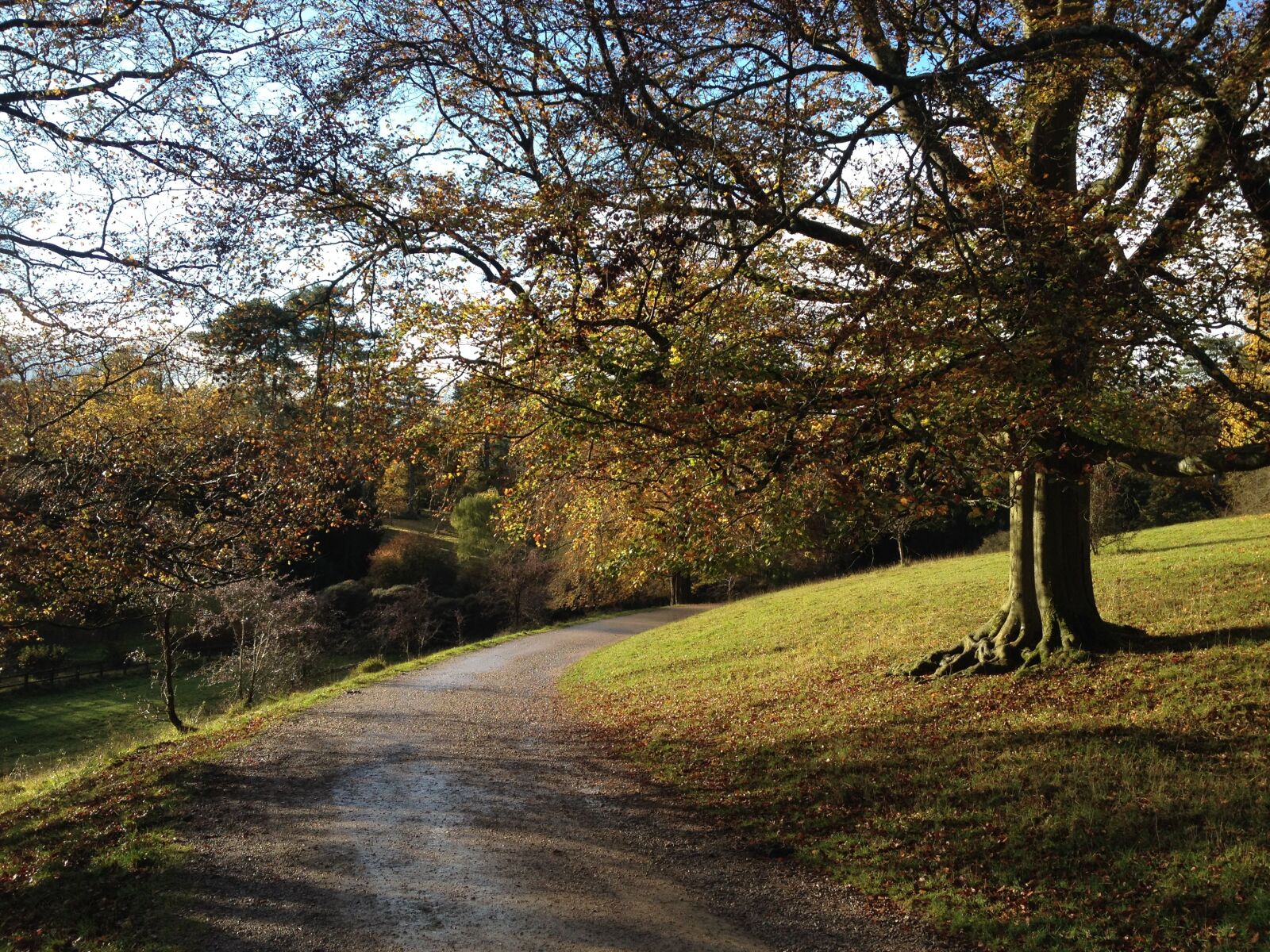 iPhone 4S back camera 4.28mm f/2.4 sample photo. Landscape, trees, scenery photography