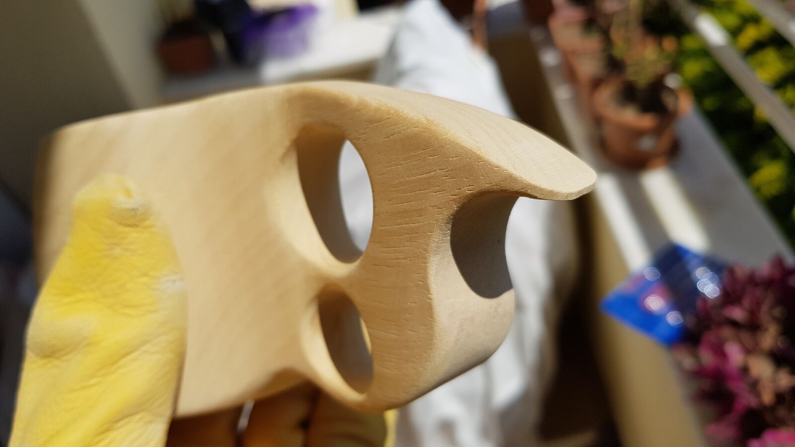 Samsung Galaxy S8 sample photo. Kuksa, ayous, el isisciligi photography