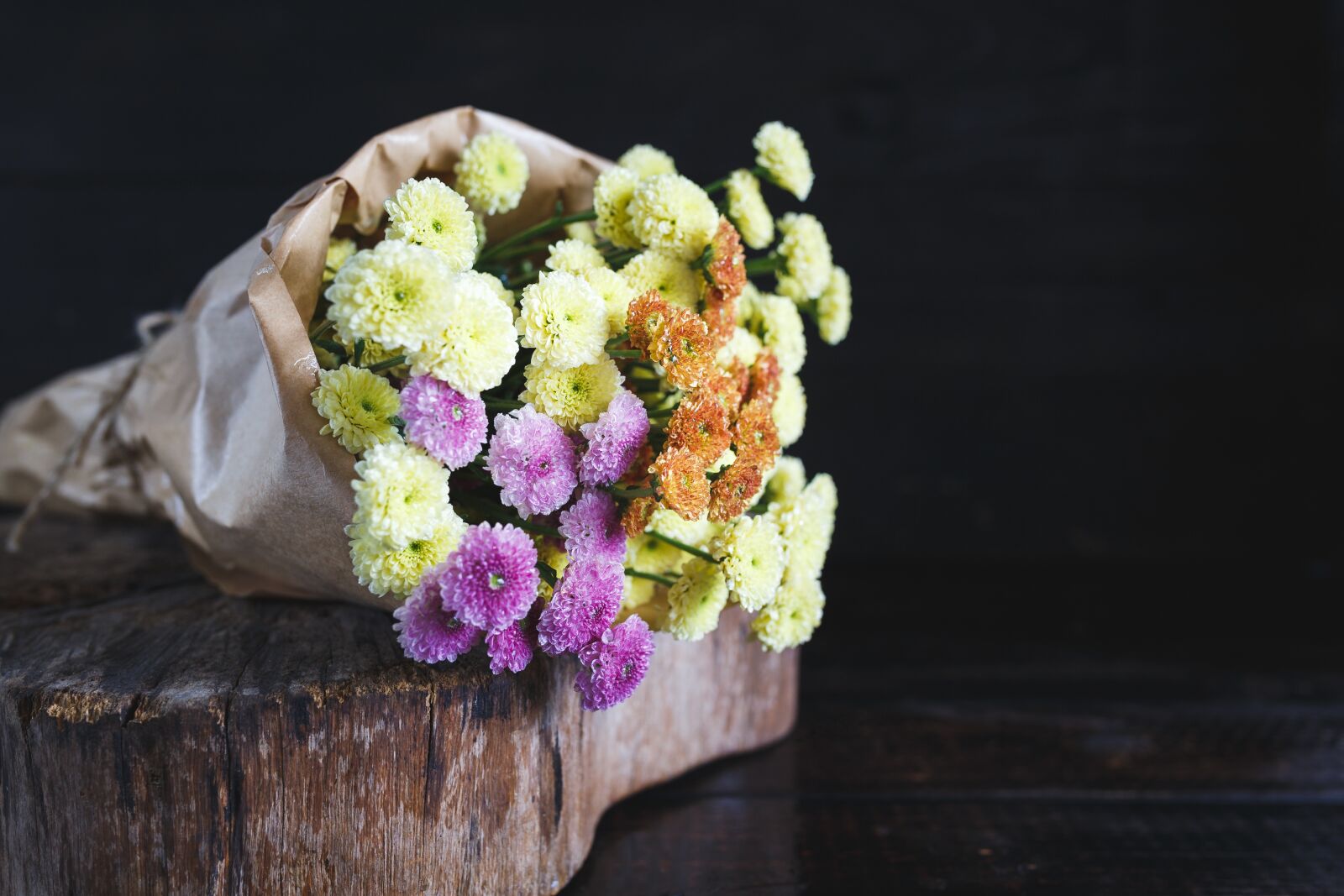 Canon EOS 6D sample photo. Calimero, flower, colorful photography
