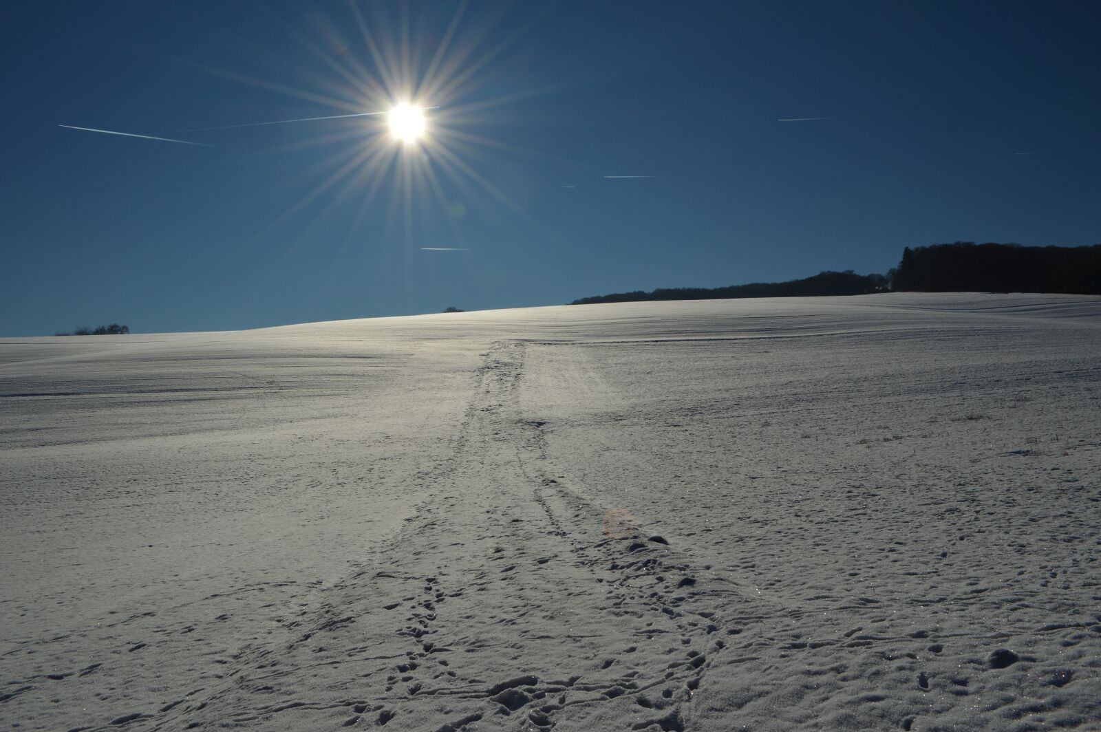 Nikon D3200 sample photo. Landscape, wintry, winter magic photography