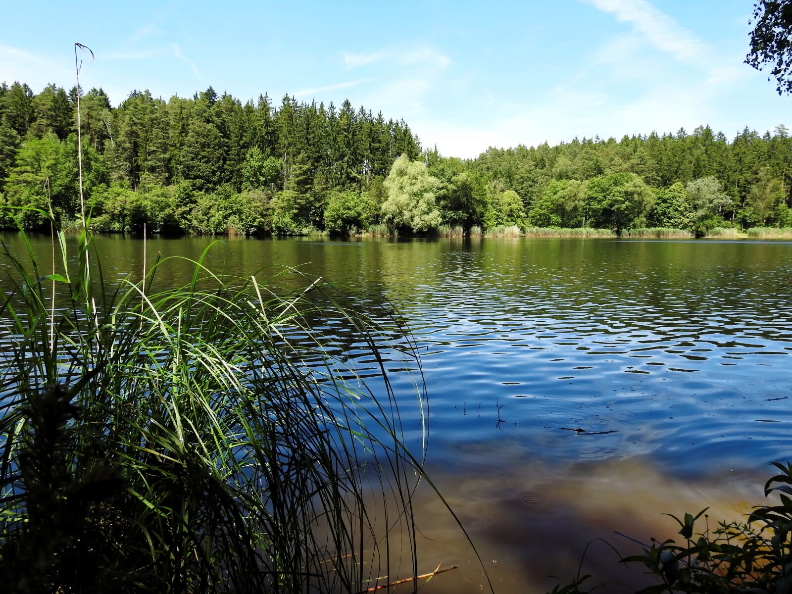Nikon Coolpix P900 sample photo. Lake, water, landscape photography