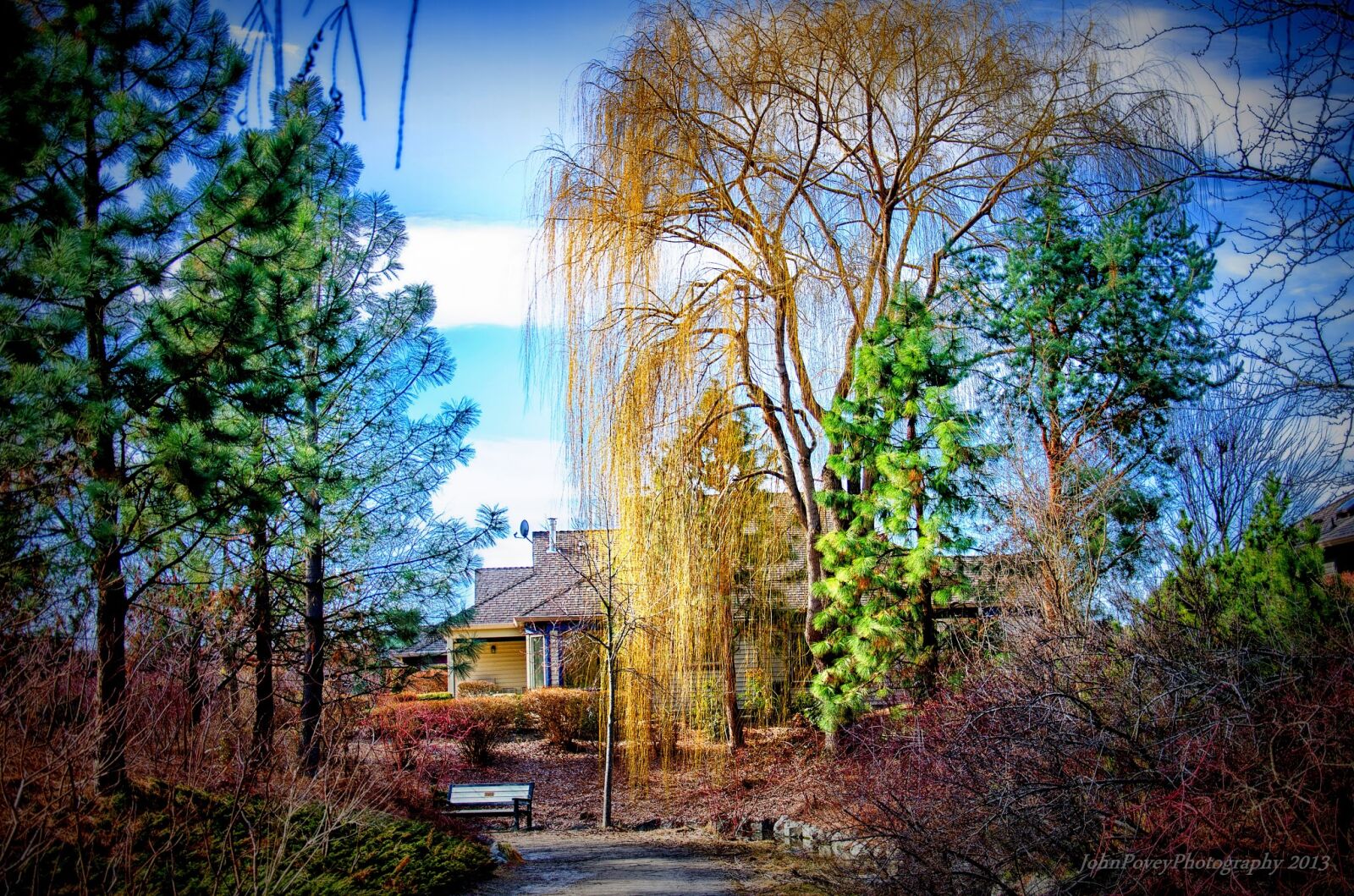 Nikon D7000 sample photo. Green, tree, under, blue photography