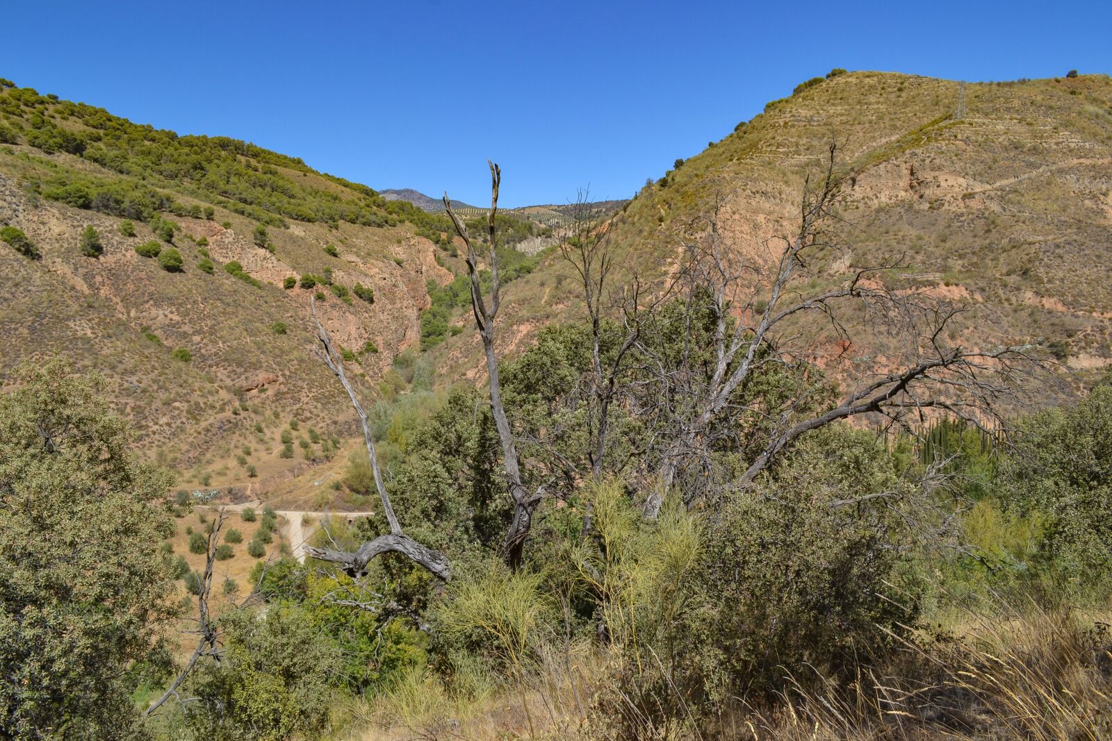 Nikon D3100 sample photo. Sierra nevada, mountains, landscape photography