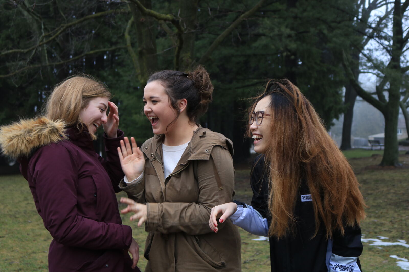 Canon EOS 750D (EOS Rebel T6i / EOS Kiss X8i) sample photo. Best, friends, fall, girls photography