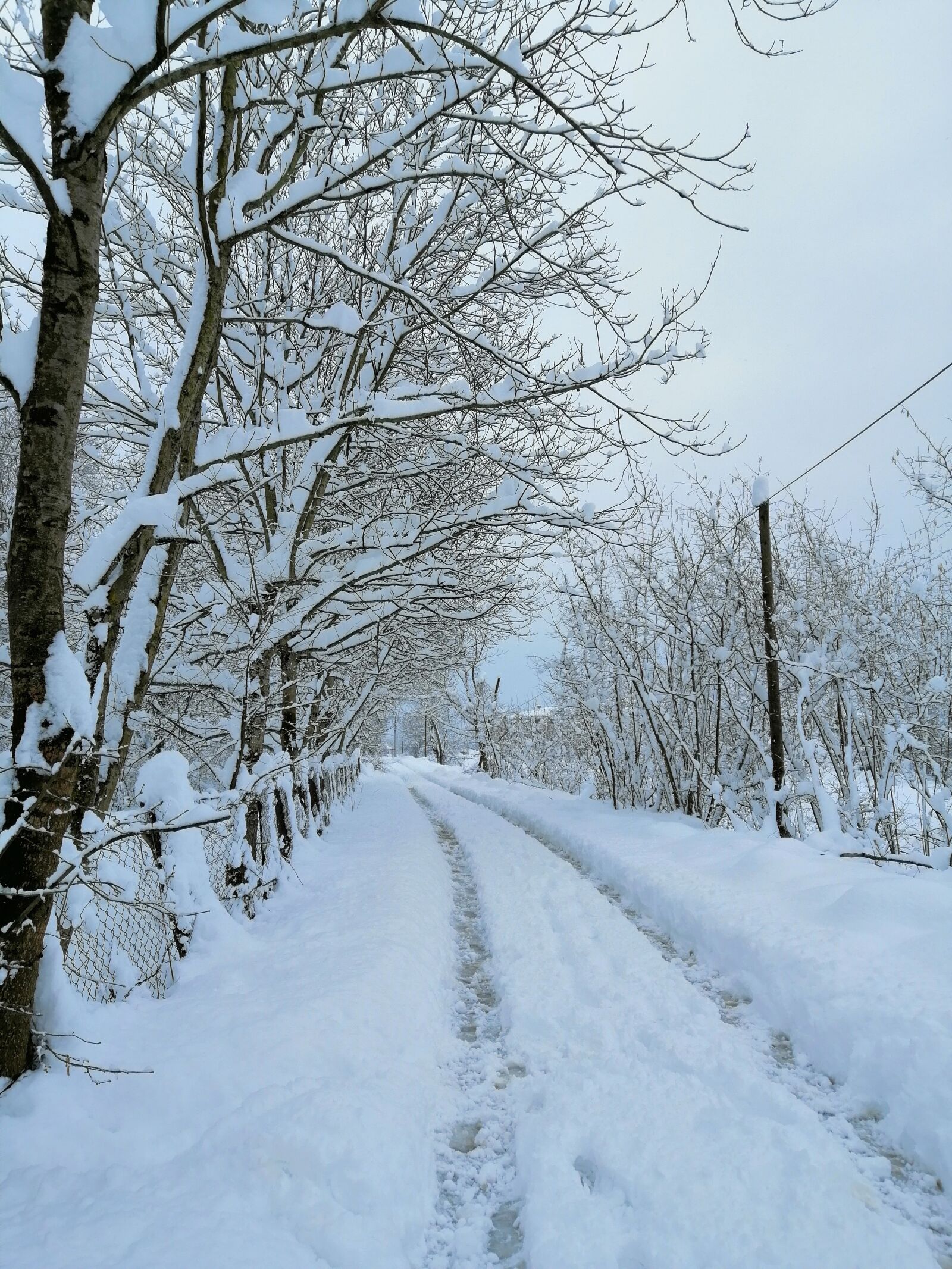 HUAWEI SNE-LX1 sample photo. Snow, winter, peace photography