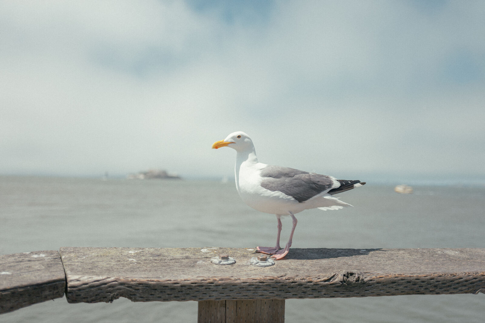 Leica Q (Typ 116) sample photo
