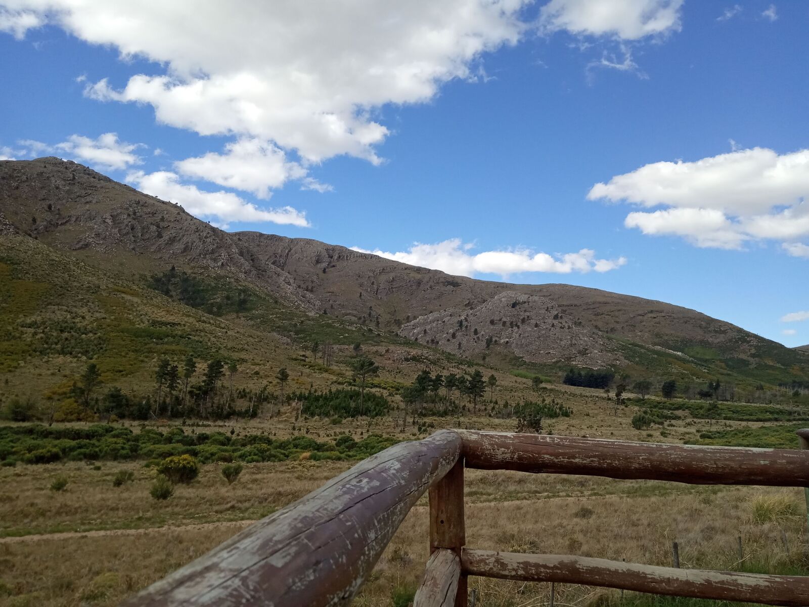 Xiaomi Redmi 6A sample photo. Trees, pine trees, mountains photography